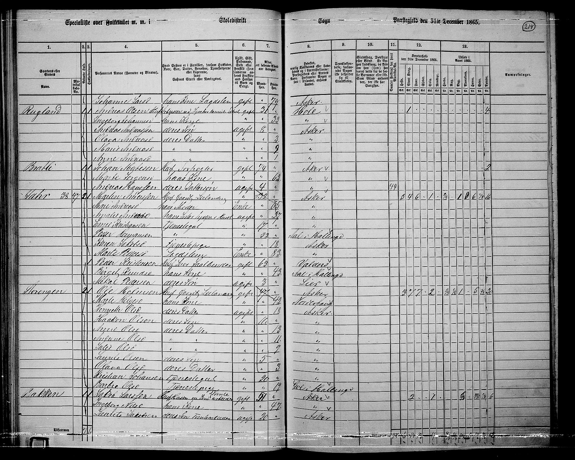 RA, 1865 census for Asker, 1865, p. 206