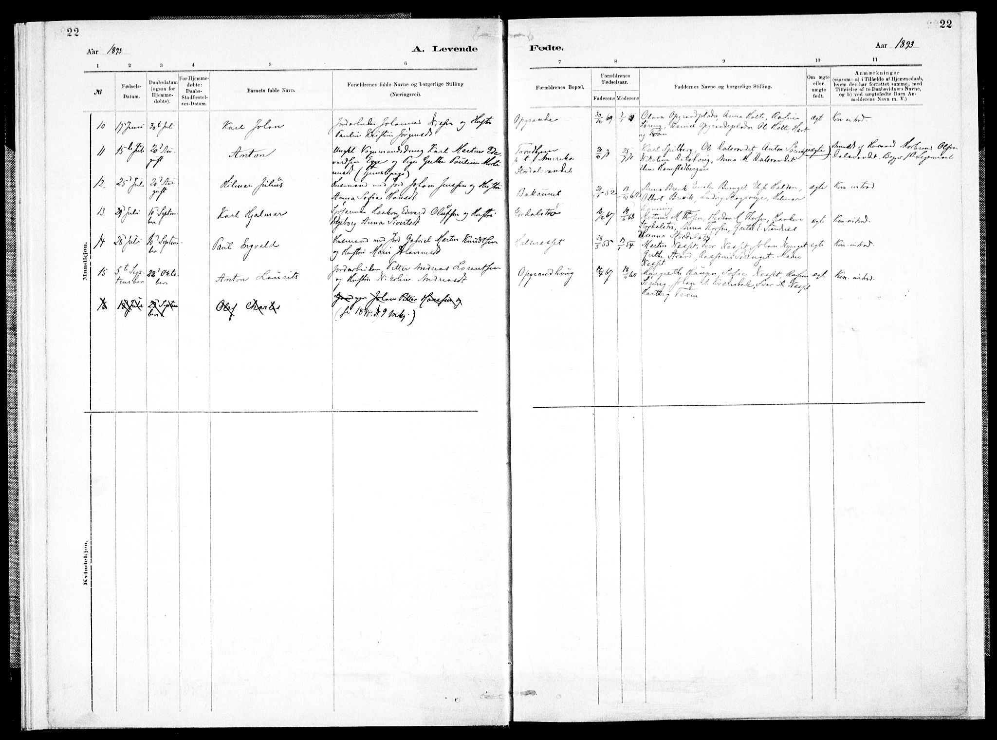 Ministerialprotokoller, klokkerbøker og fødselsregistre - Nord-Trøndelag, SAT/A-1458/733/L0325: Parish register (official) no. 733A04, 1884-1908, p. 22