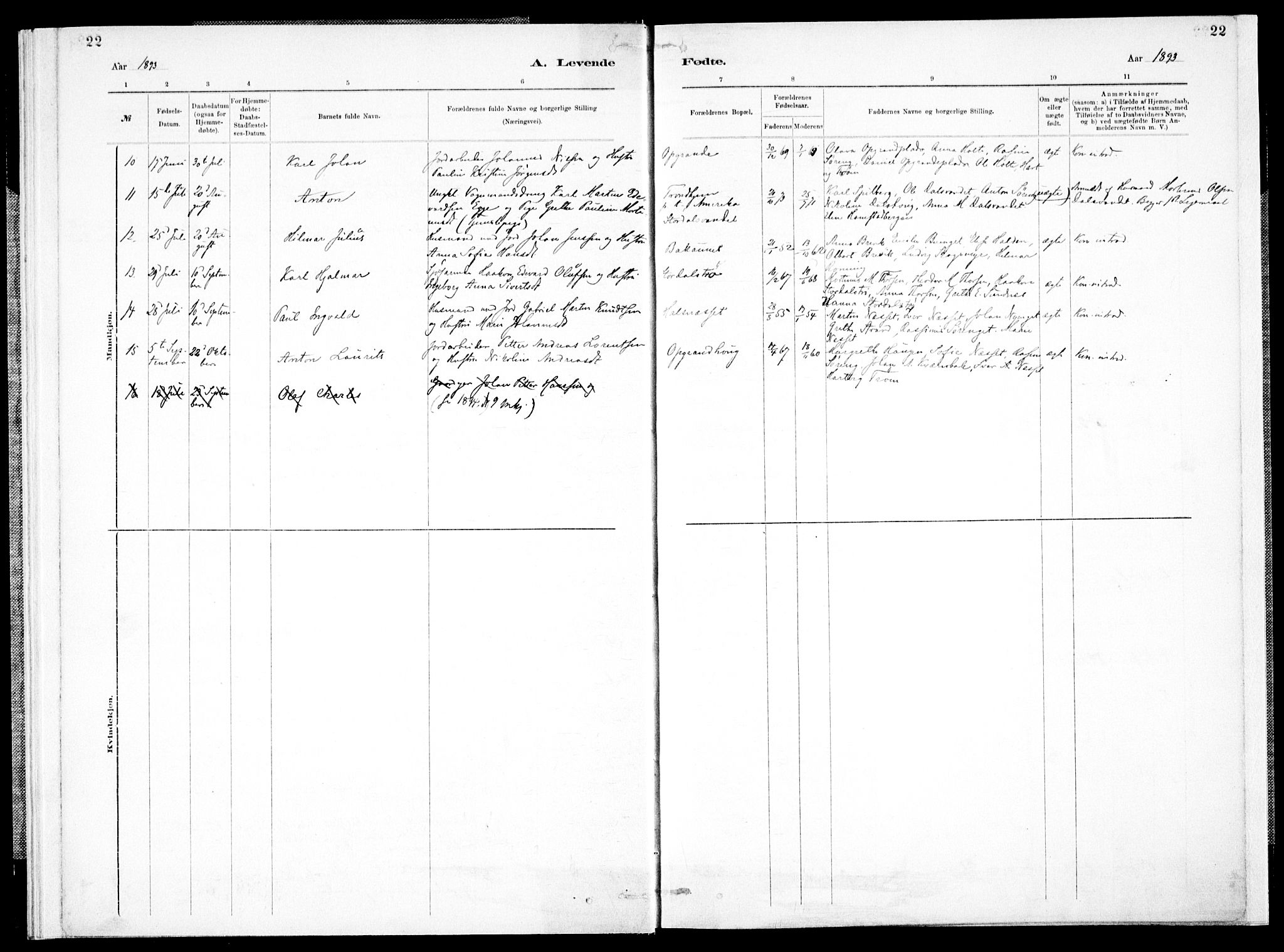 Ministerialprotokoller, klokkerbøker og fødselsregistre - Nord-Trøndelag, AV/SAT-A-1458/733/L0325: Parish register (official) no. 733A04, 1884-1908, p. 22