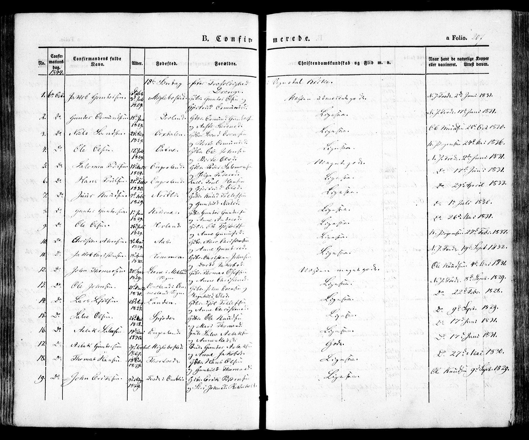 Evje sokneprestkontor, AV/SAK-1111-0008/F/Fa/Faa/L0005: Parish register (official) no. A 5, 1843-1865, p. 207