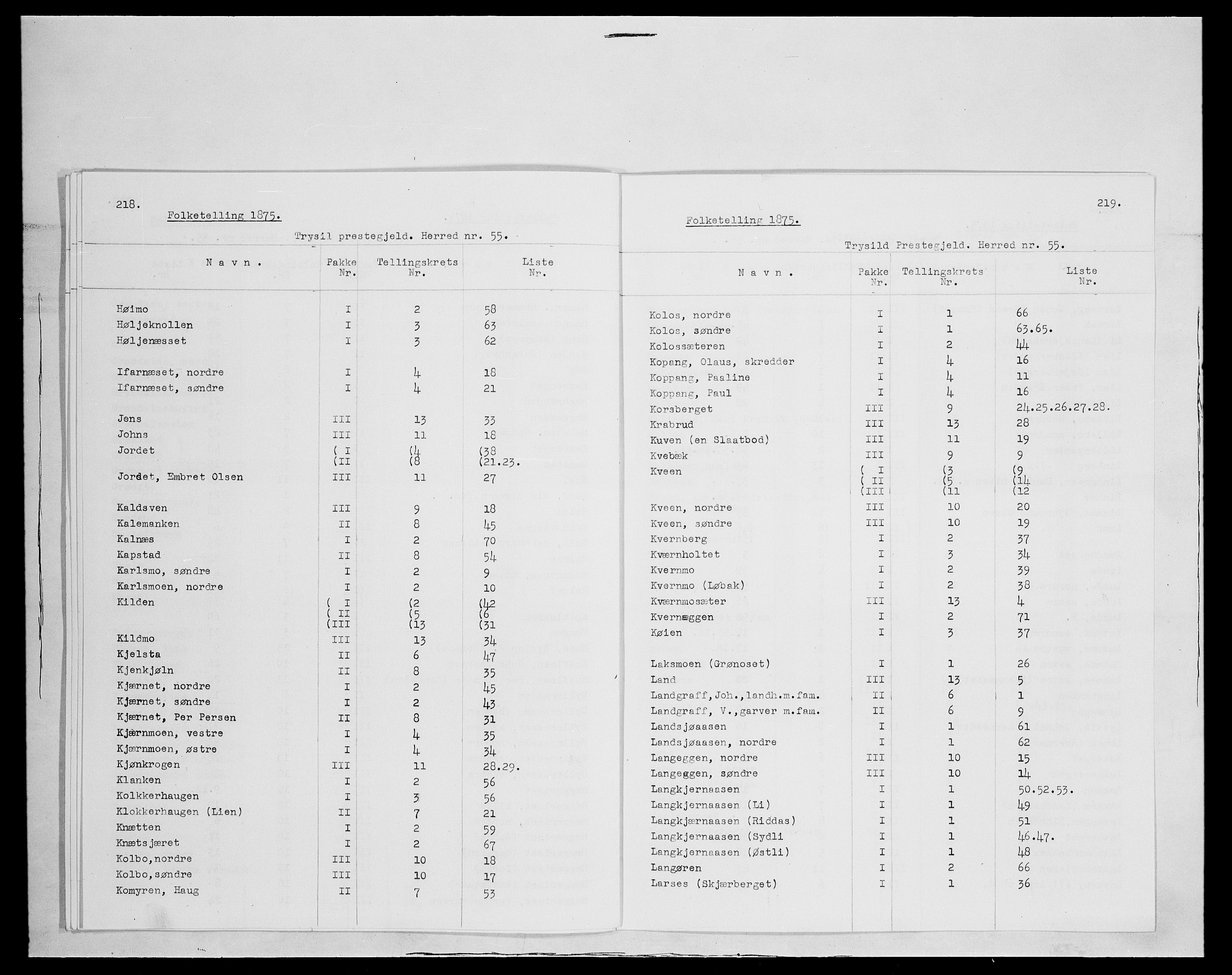 SAH, 1875 census for 0428P Trysil, 1875, p. 4