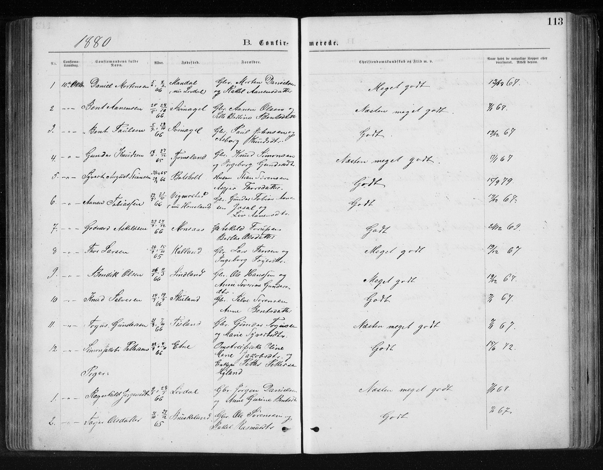 Holum sokneprestkontor, SAK/1111-0022/F/Fb/Fbb/L0003: Parish register (copy) no. B 3, 1875-1898, p. 113