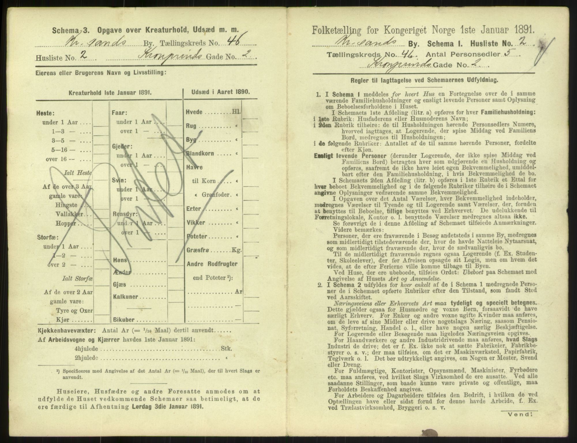 RA, 1891 census for 1001 Kristiansand, 1891, p. 2466