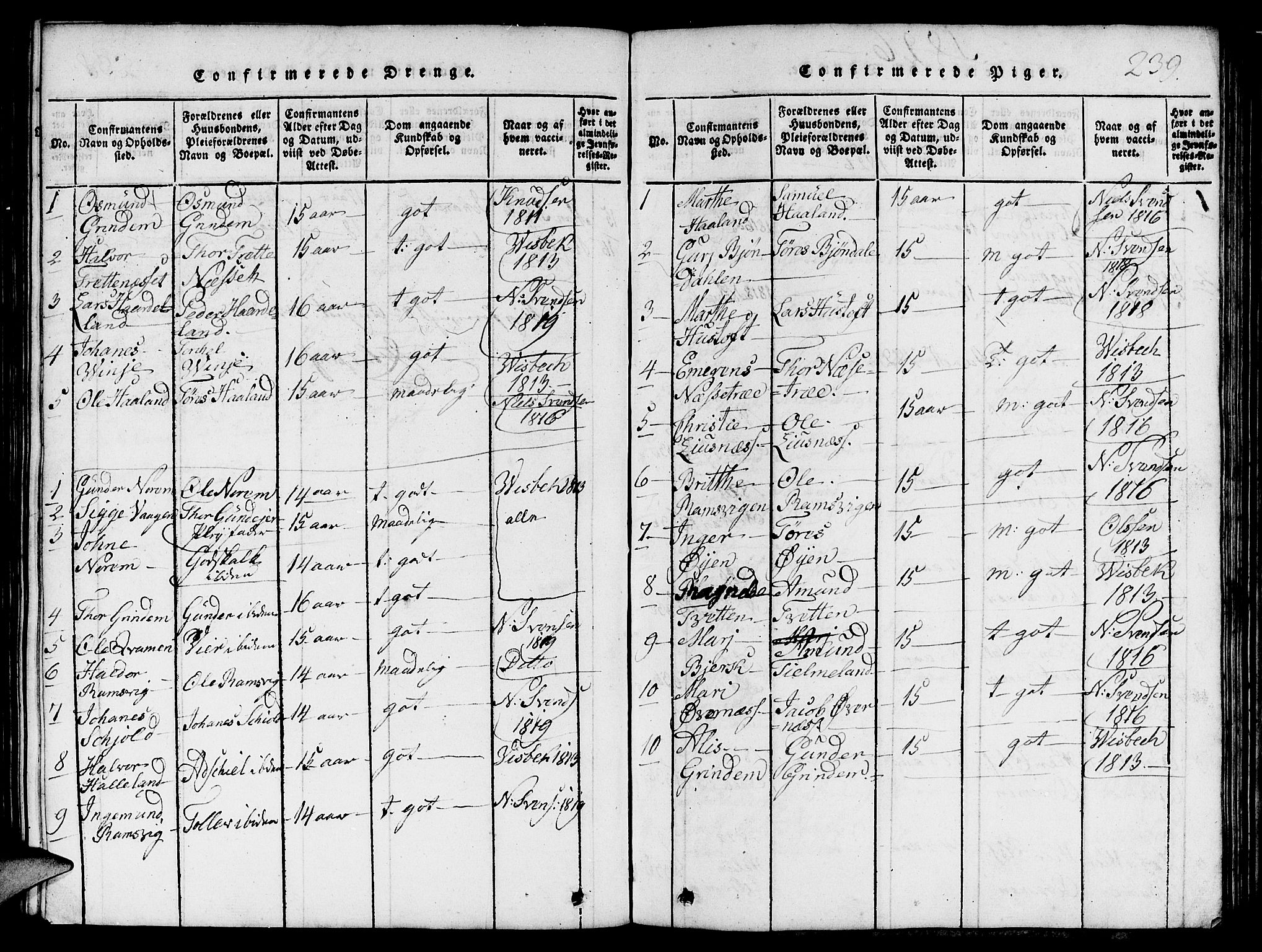 Etne sokneprestembete, SAB/A-75001/H/Hab: Parish register (copy) no. C 1, 1816-1841, p. 239