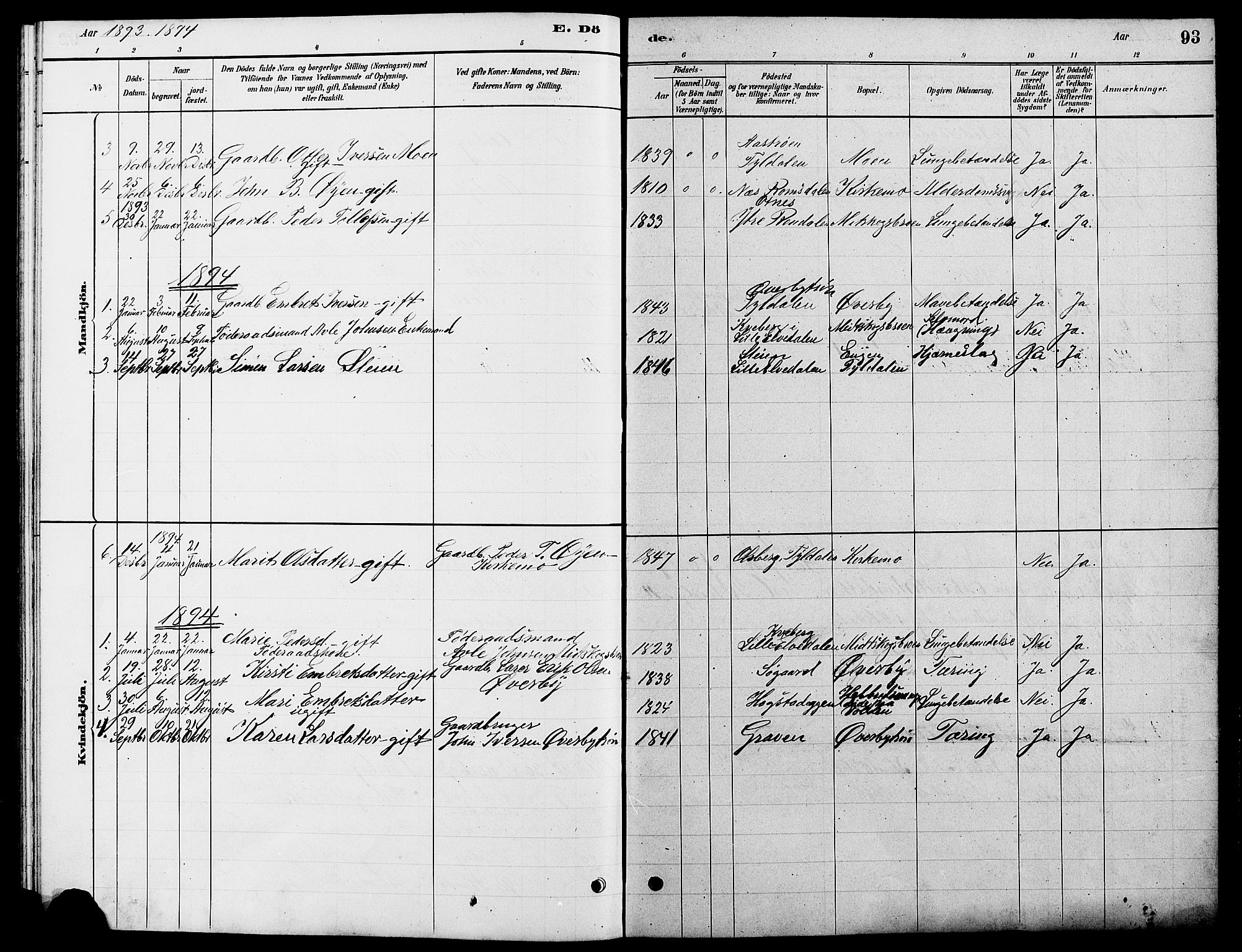 Tynset prestekontor, SAH/PREST-058/H/Ha/Hab/L0007: Parish register (copy) no. 7, 1880-1901, p. 93