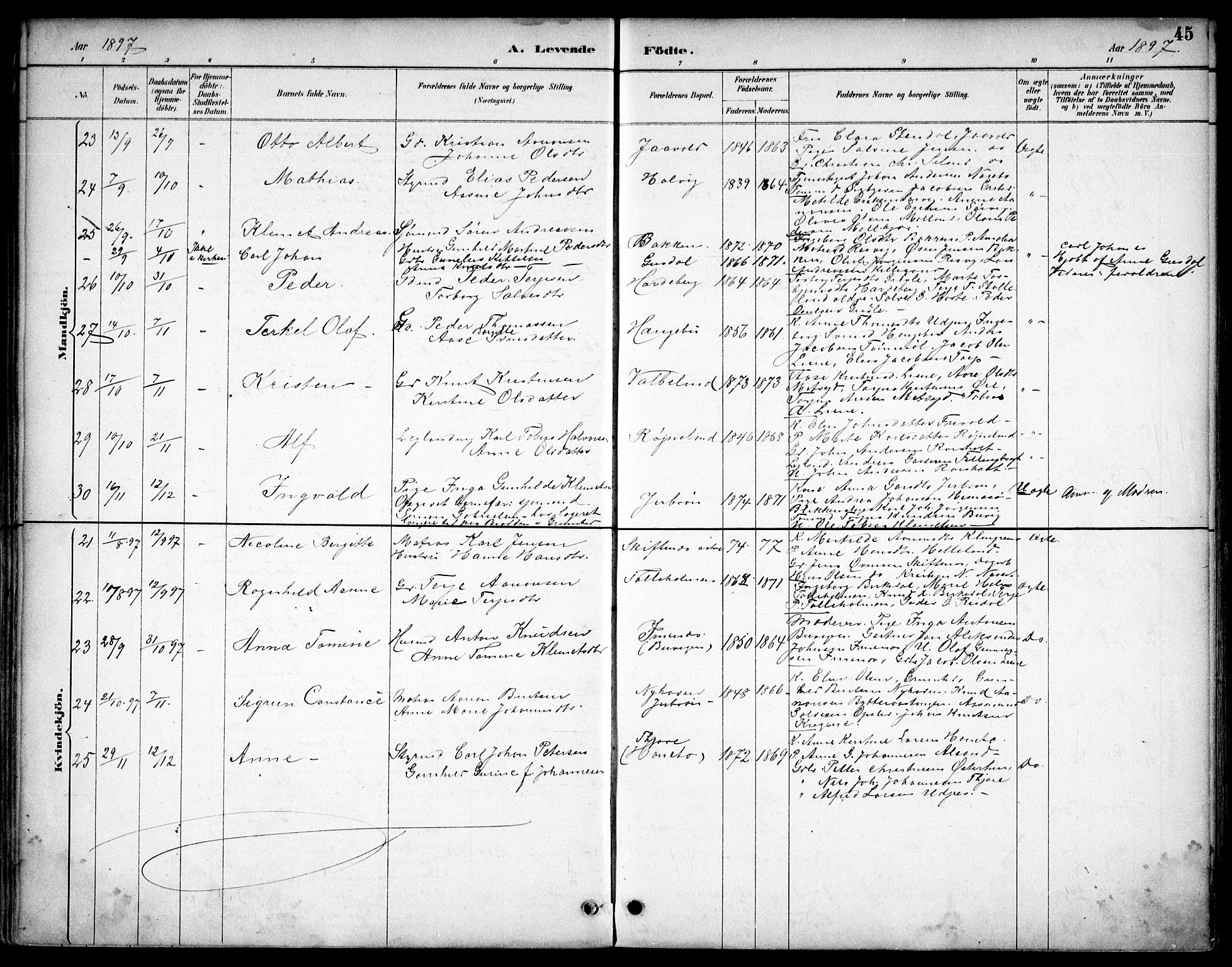 Hommedal sokneprestkontor, AV/SAK-1111-0023/F/Fb/Fbb/L0007: Parish register (copy) no. B 7, 1885-1904, p. 45