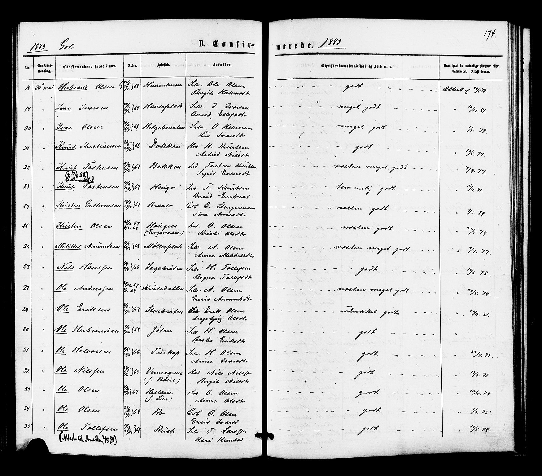 Gol kirkebøker, SAKO/A-226/F/Fa/L0004: Parish register (official) no. I 4, 1876-1886, p. 174