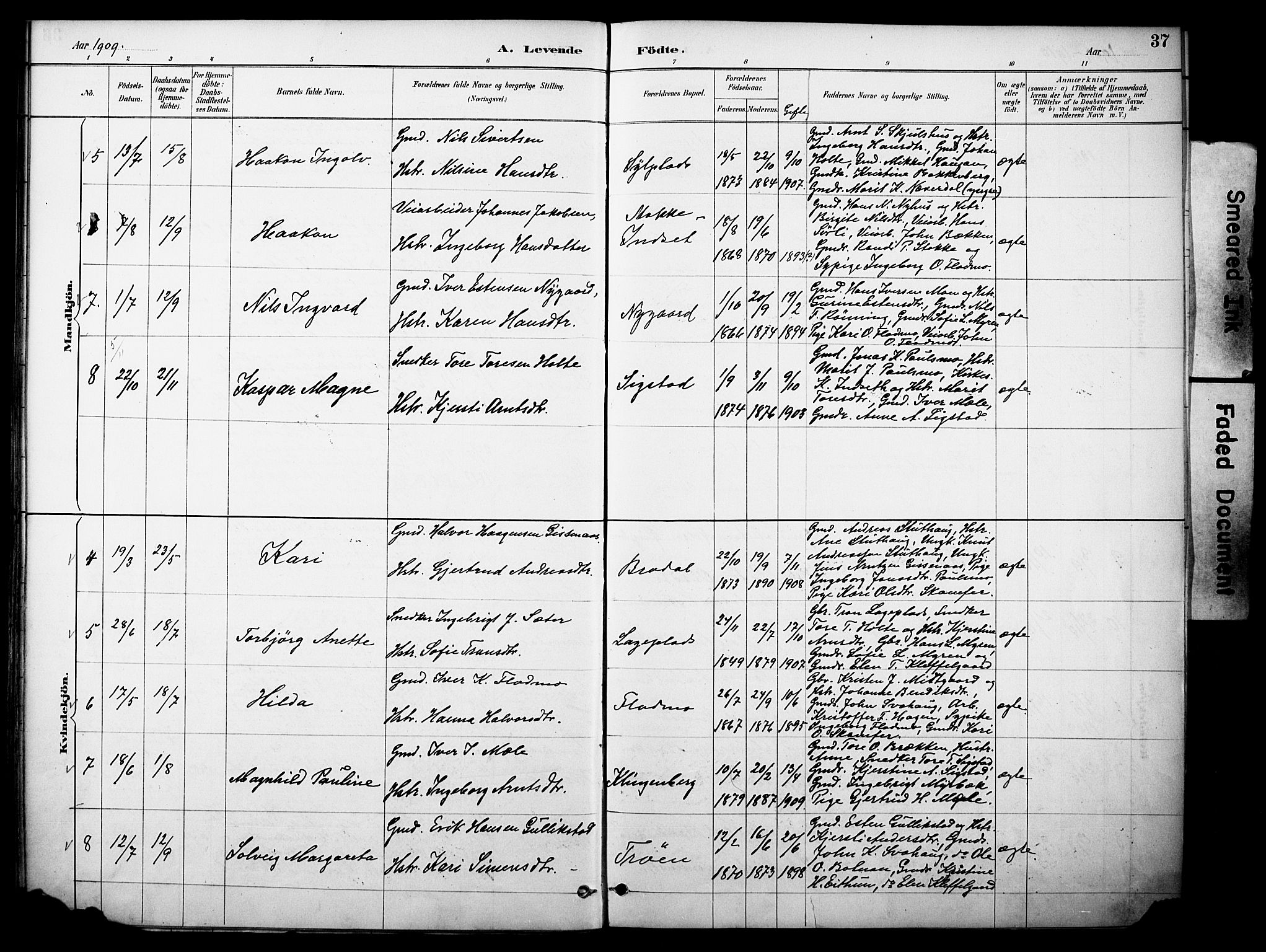 Kvikne prestekontor, AV/SAH-PREST-064/H/Ha/Haa/L0007: Parish register (official) no. 7, 1887-1911, p. 37