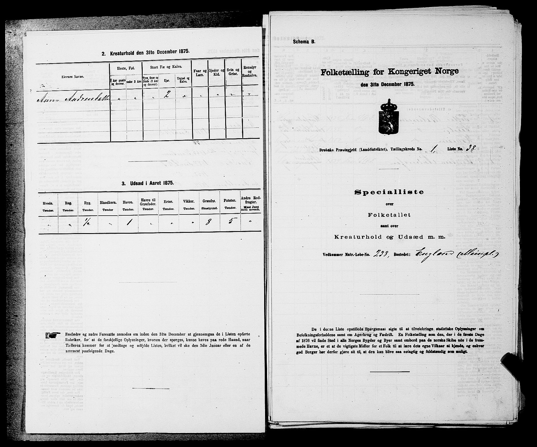 RA, 1875 census for 0215L Drøbak/Frogn, 1875, p. 20