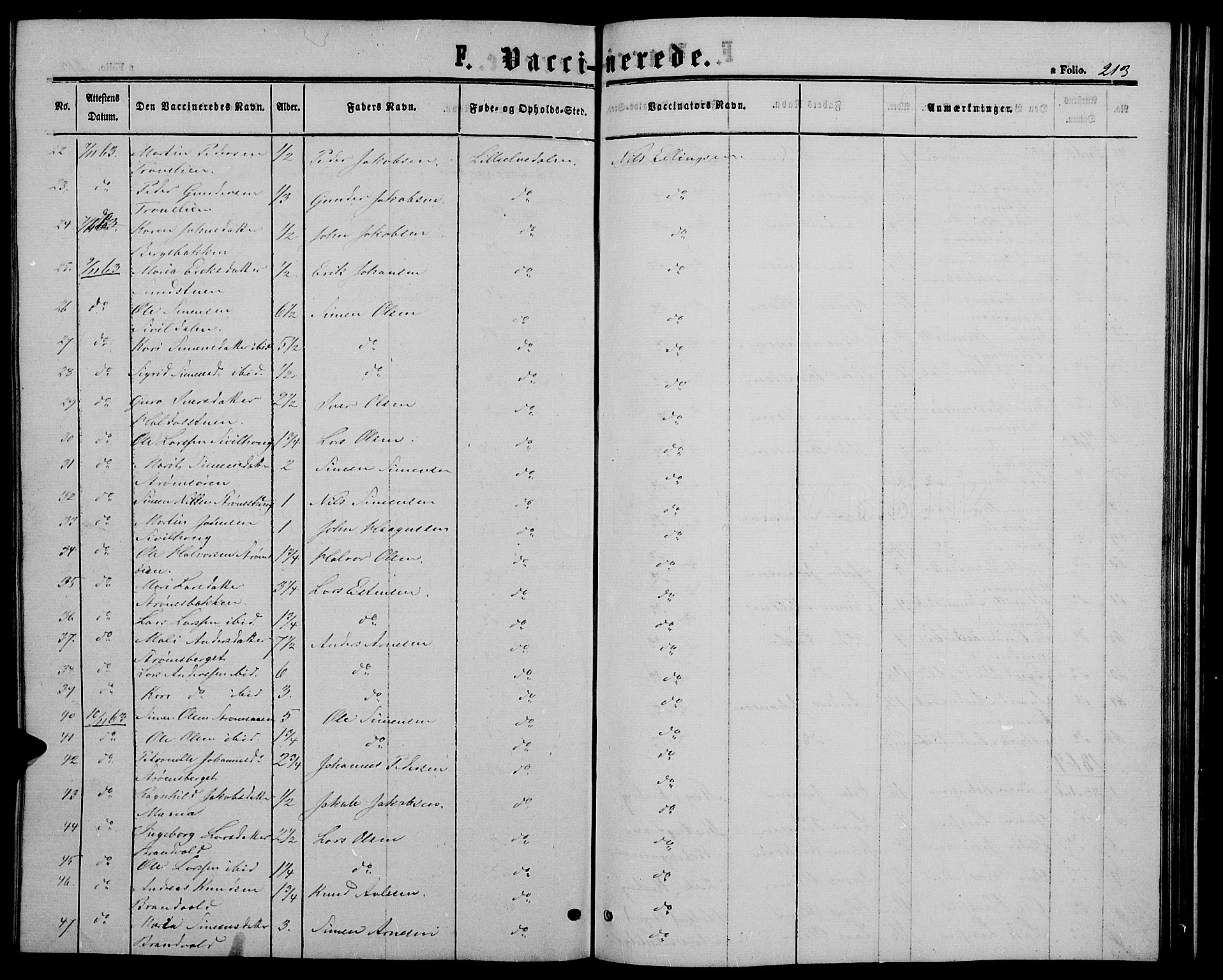 Alvdal prestekontor, SAH/PREST-060/H/Ha/Hab/L0002: Parish register (copy) no. 2, 1863-1878, p. 213
