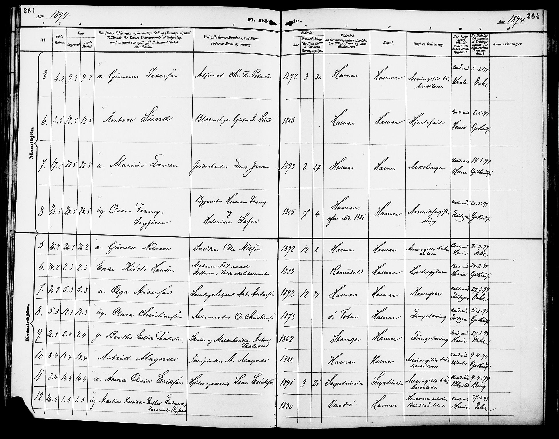 Vang prestekontor, Hedmark, SAH/PREST-008/H/Ha/Haa/L0017: Parish register (official) no. 17, 1890-1899, p. 264