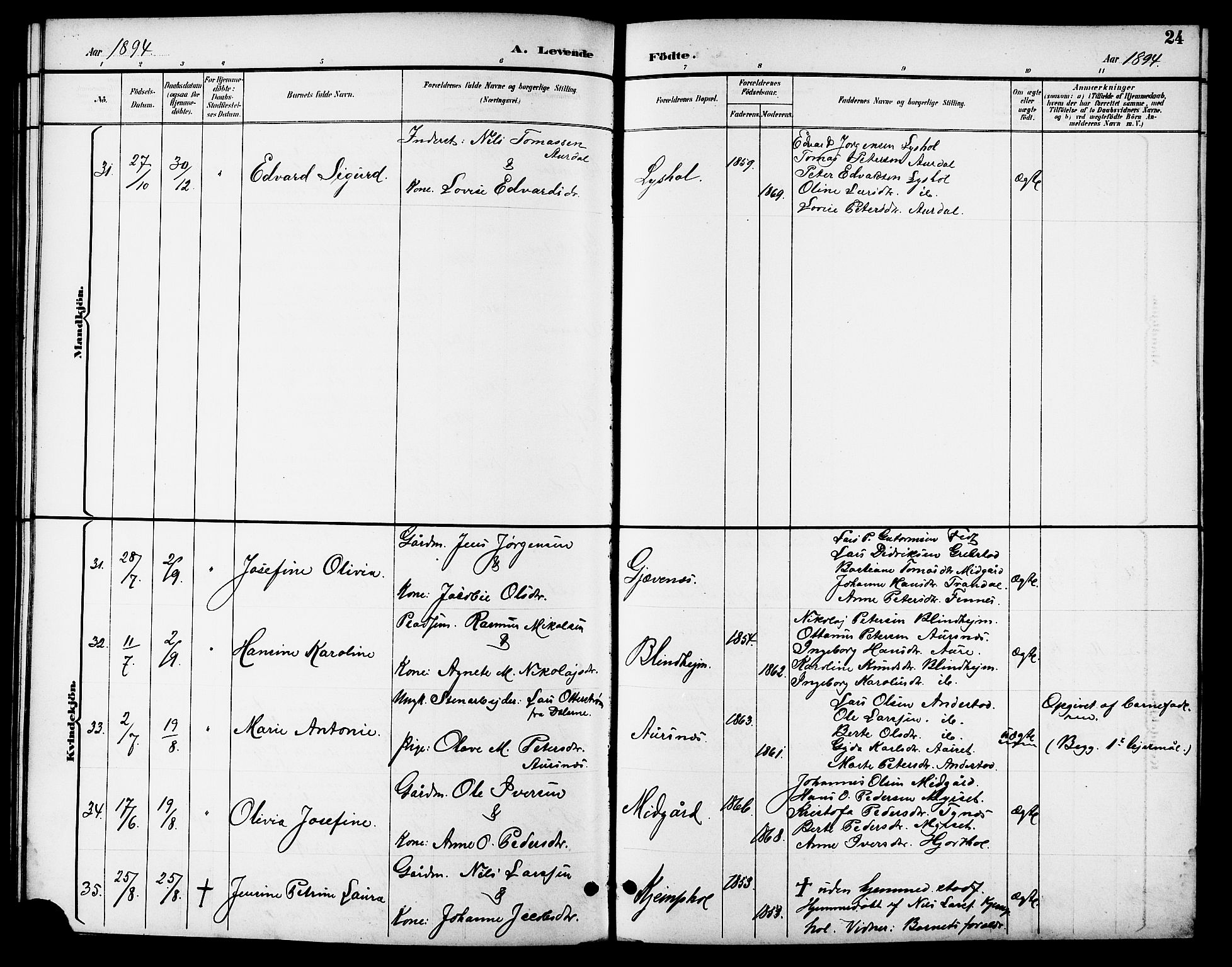 Ministerialprotokoller, klokkerbøker og fødselsregistre - Møre og Romsdal, AV/SAT-A-1454/523/L0340: Parish register (copy) no. 523C03, 1892-1902, p. 24