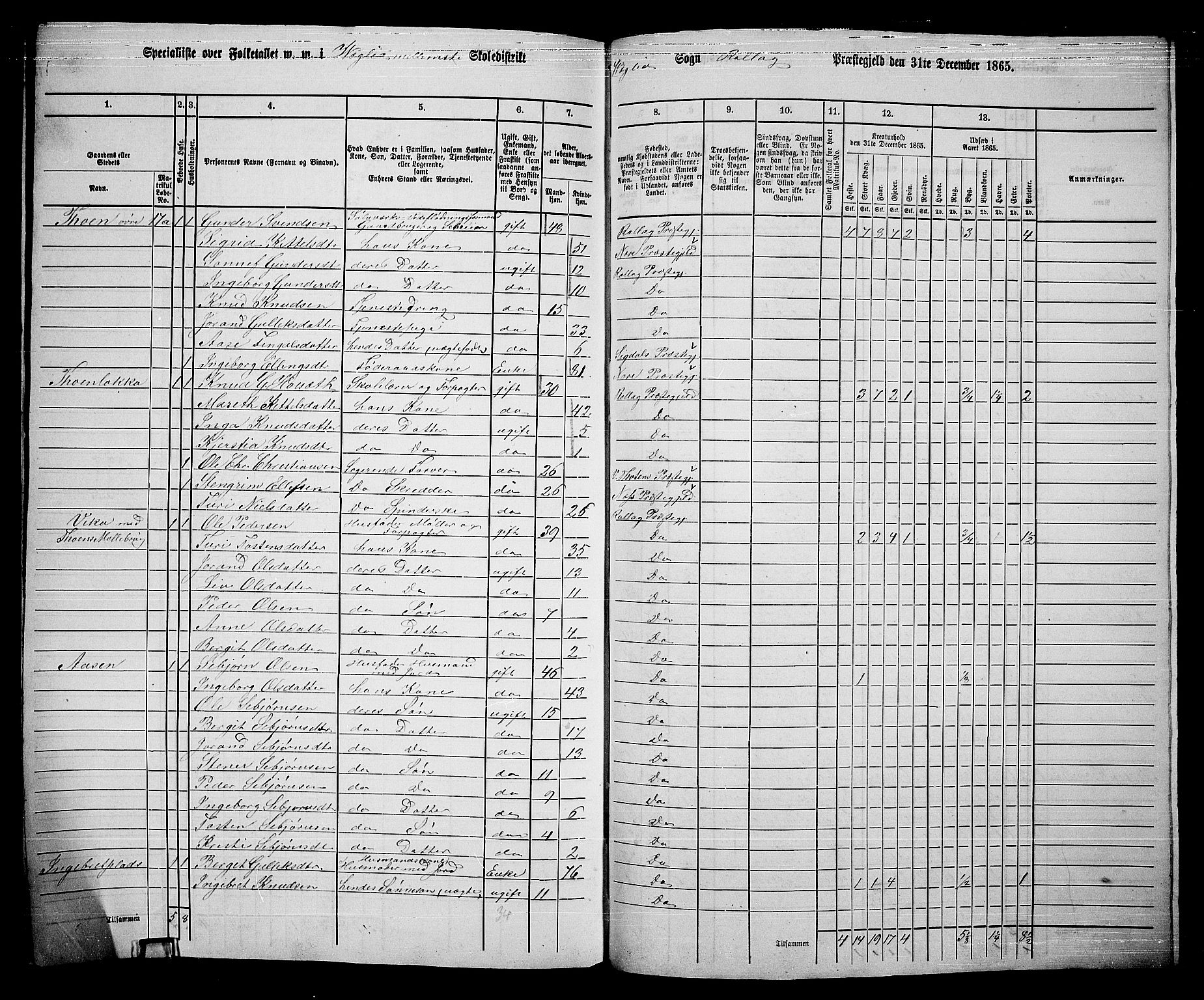 RA, 1865 census for Rollag, 1865, p. 63