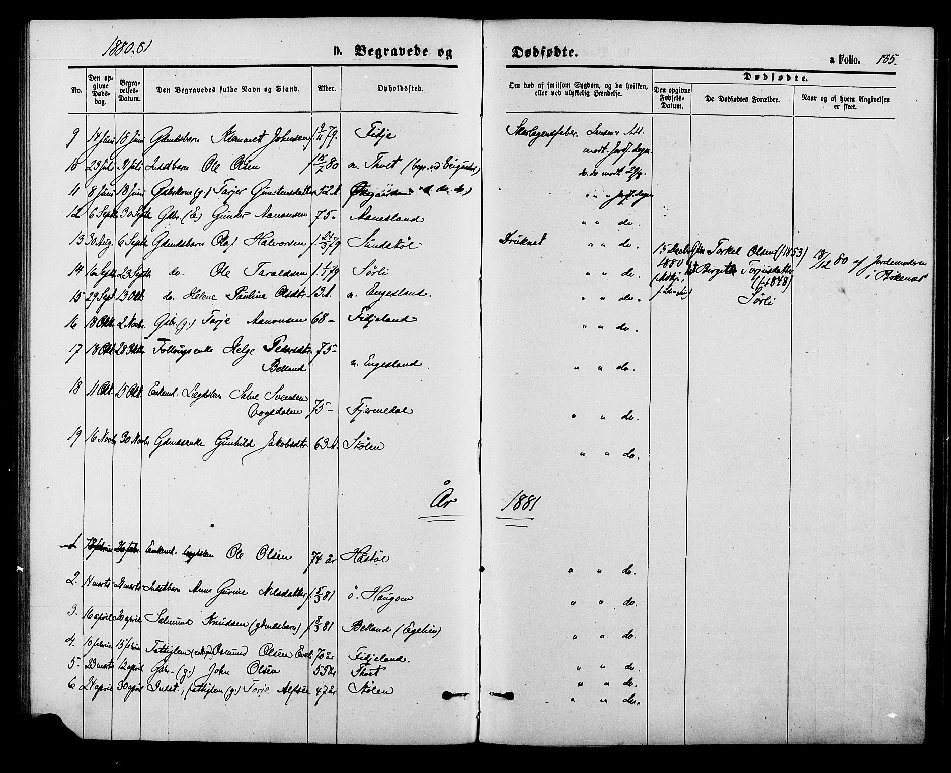 Herefoss sokneprestkontor, SAK/1111-0019/F/Fa/Fab/L0003: Parish register (official) no. A 3, 1875-1886, p. 185