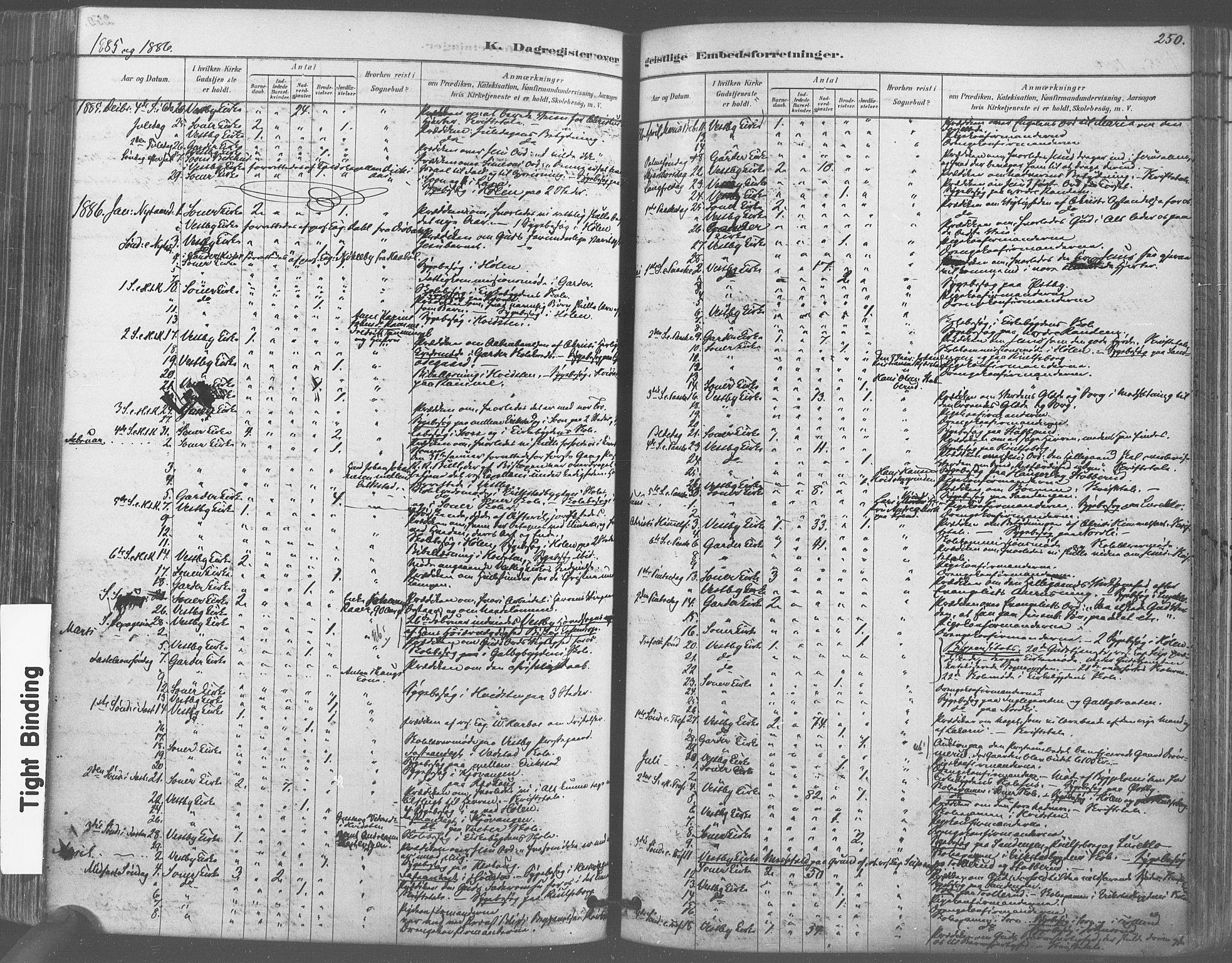 Vestby prestekontor Kirkebøker, SAO/A-10893/F/Fa/L0009: Parish register (official) no. I 9, 1878-1900, p. 250