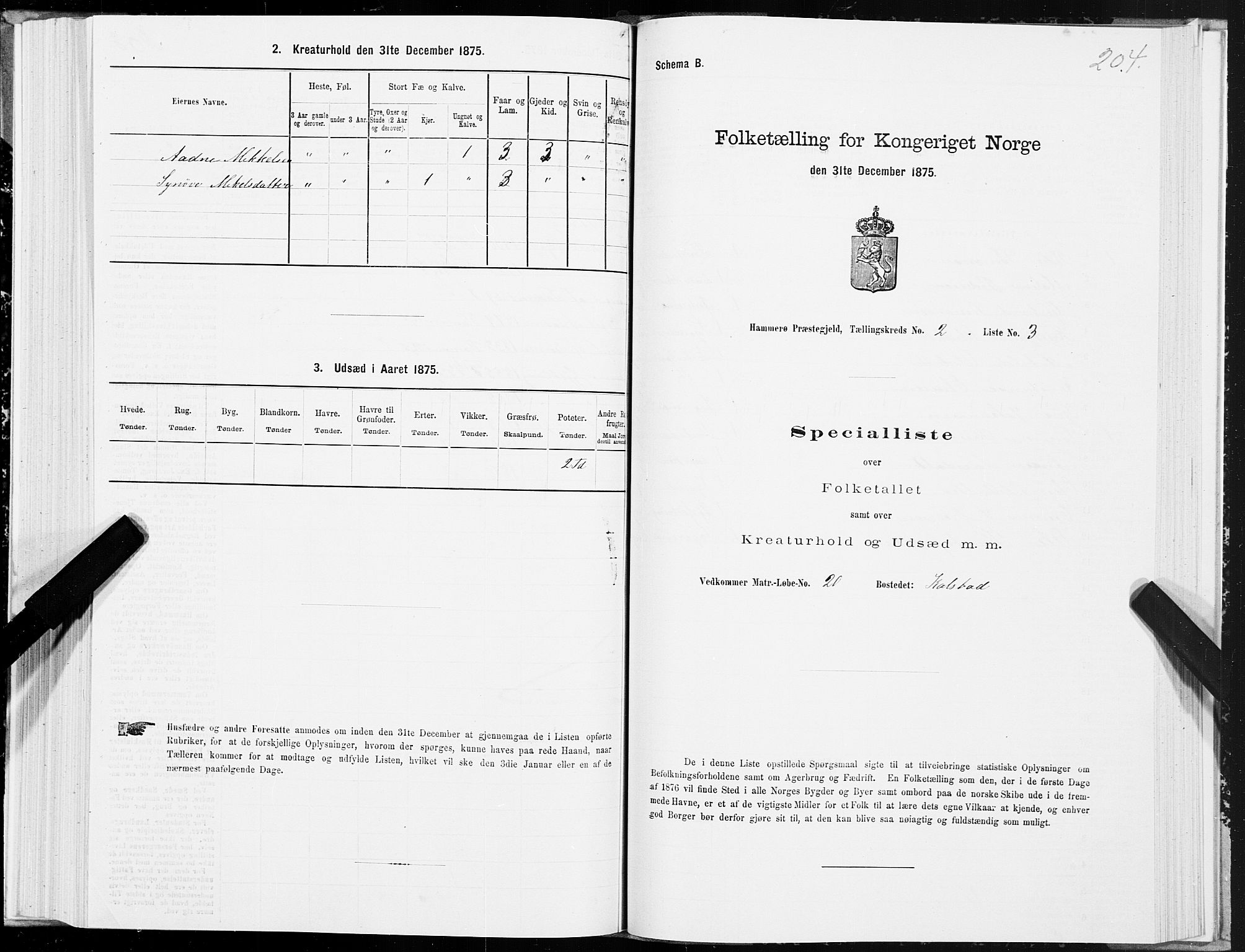 SAT, 1875 census for 1849P Hamarøy, 1875, p. 1204