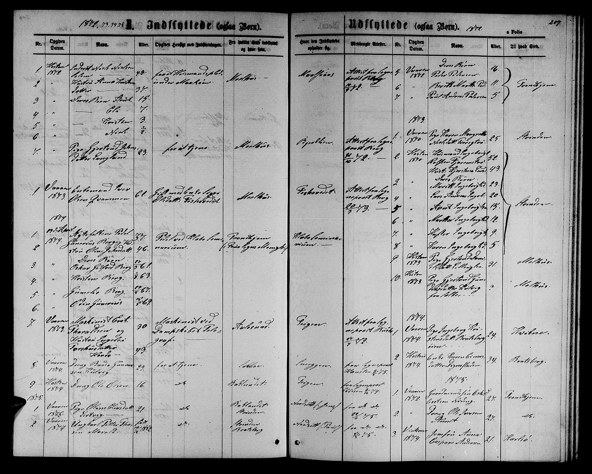 Ministerialprotokoller, klokkerbøker og fødselsregistre - Sør-Trøndelag, SAT/A-1456/618/L0451: Parish register (copy) no. 618C02, 1865-1883, p. 207