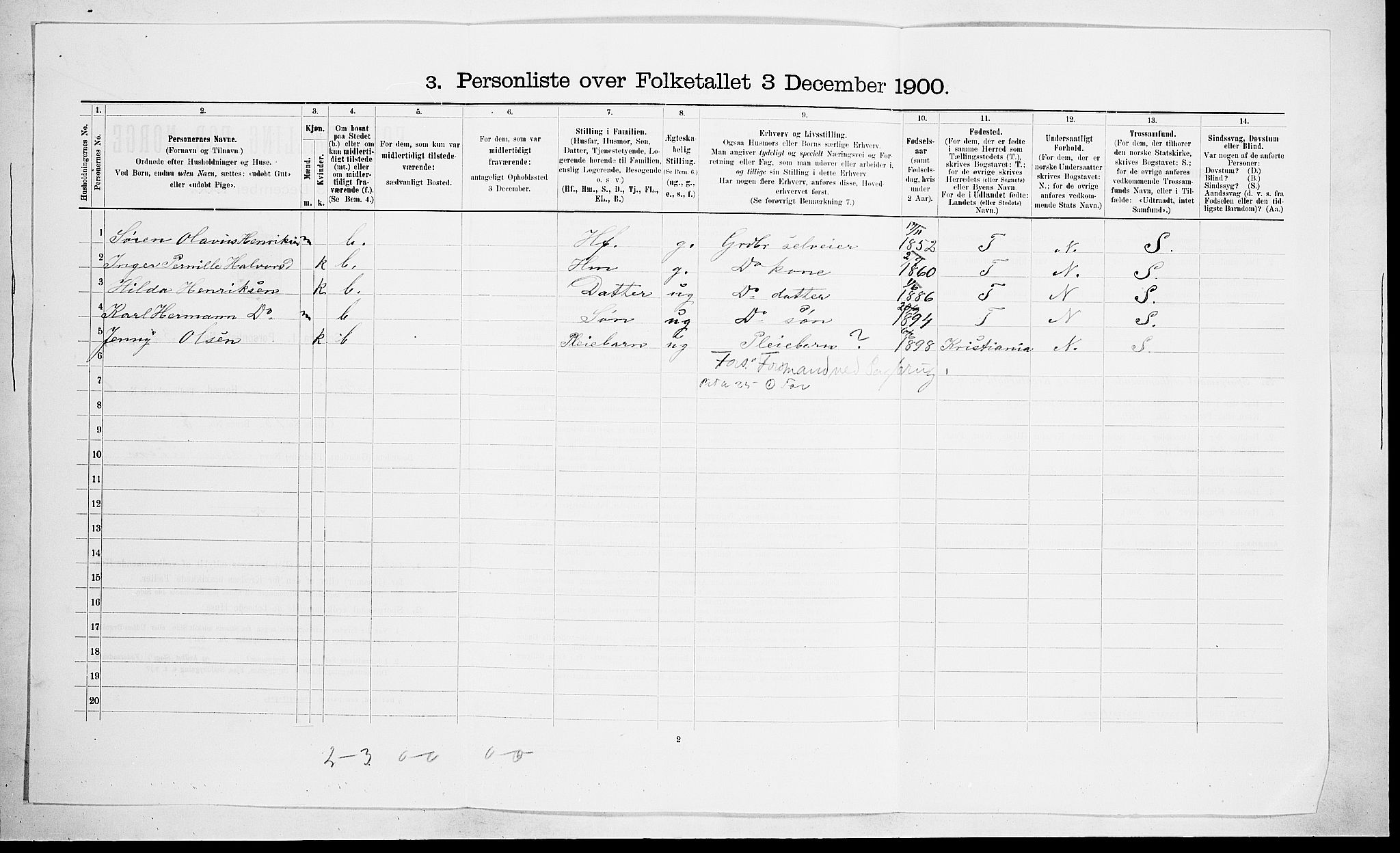 RA, 1900 census for Brunlanes, 1900, p. 919