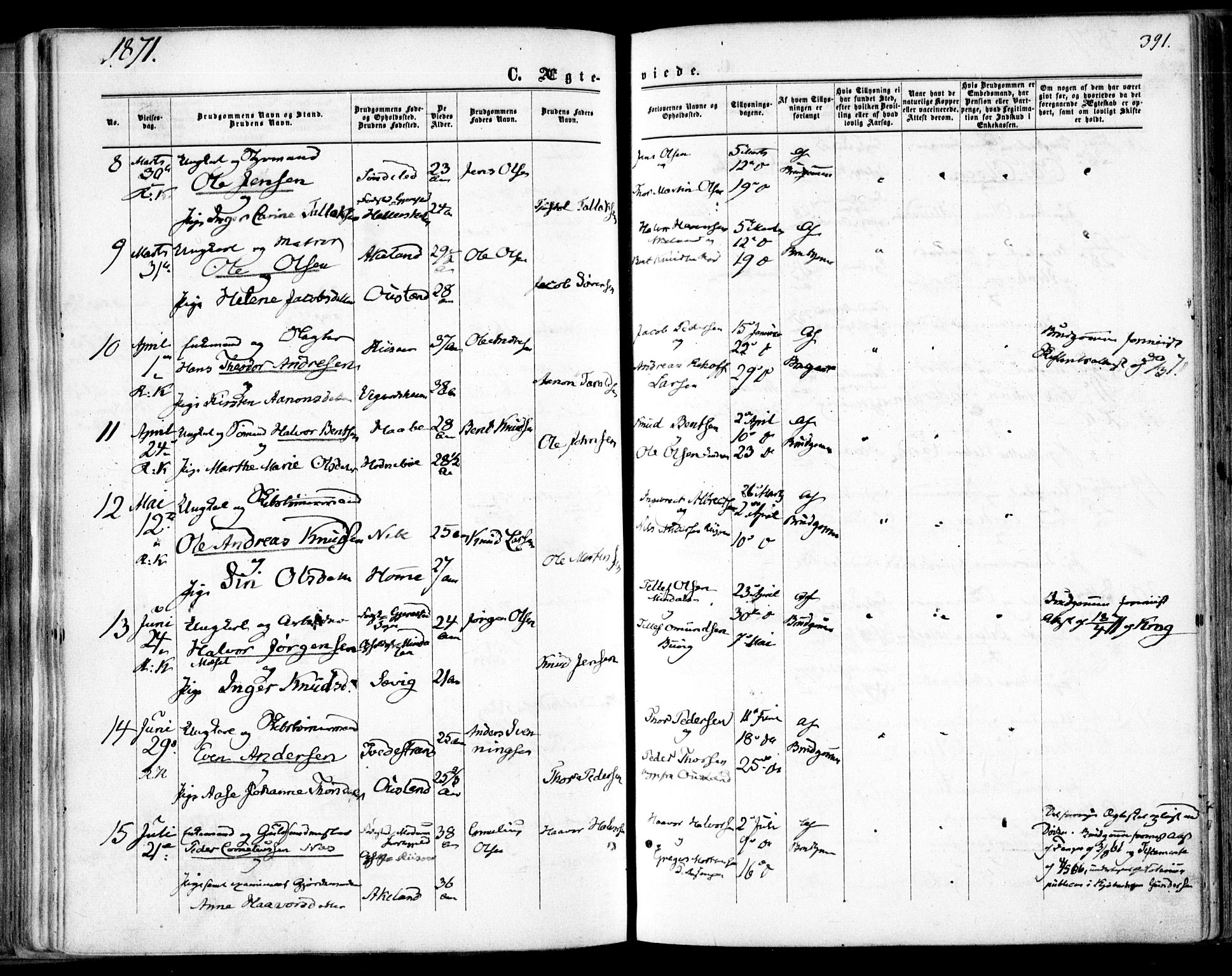 Søndeled sokneprestkontor, AV/SAK-1111-0038/F/Fa/L0003: Parish register (official) no. A 3, 1861-1879, p. 391