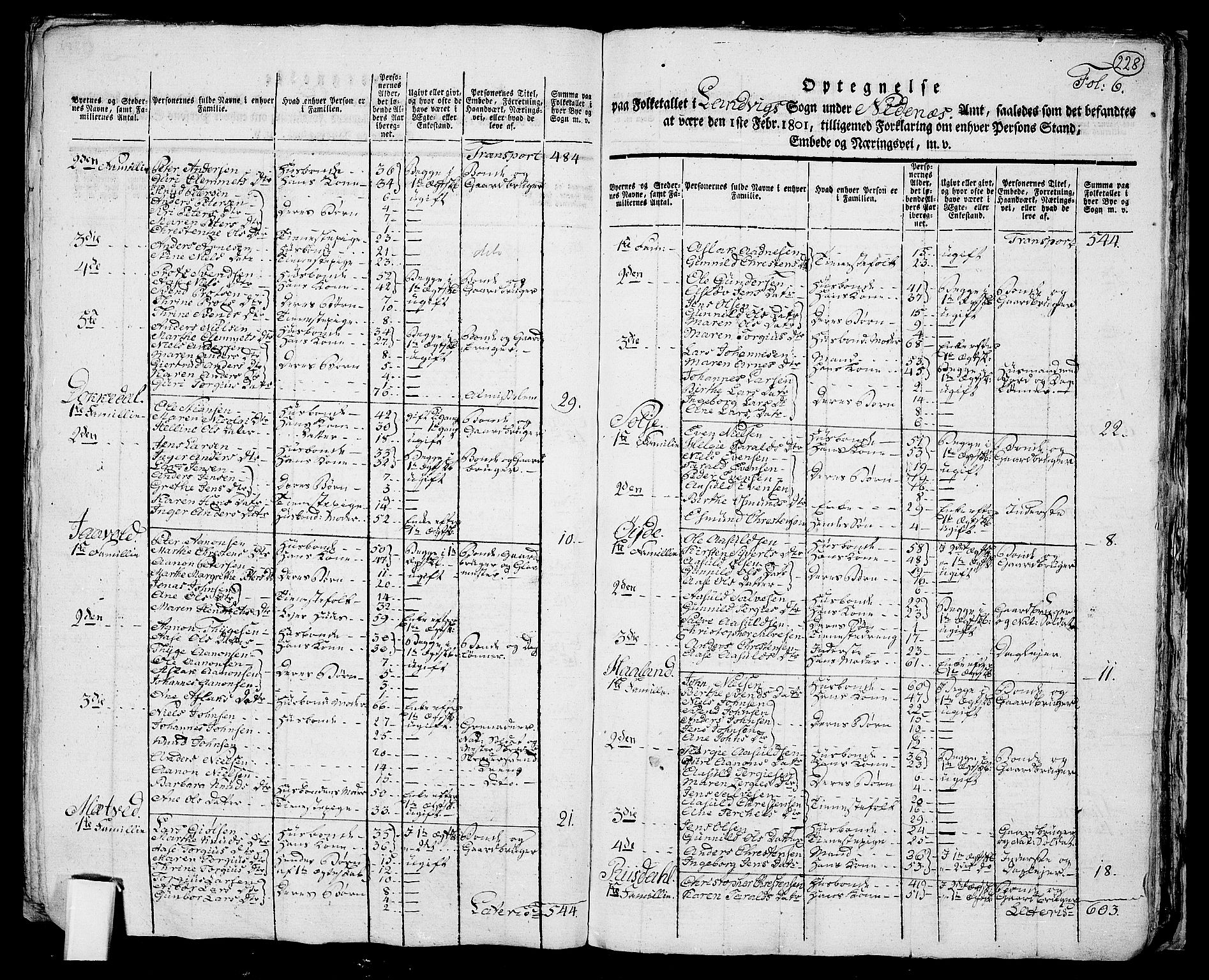 RA, 1801 census for 0924P Homedal, 1801, p. 227b-228a