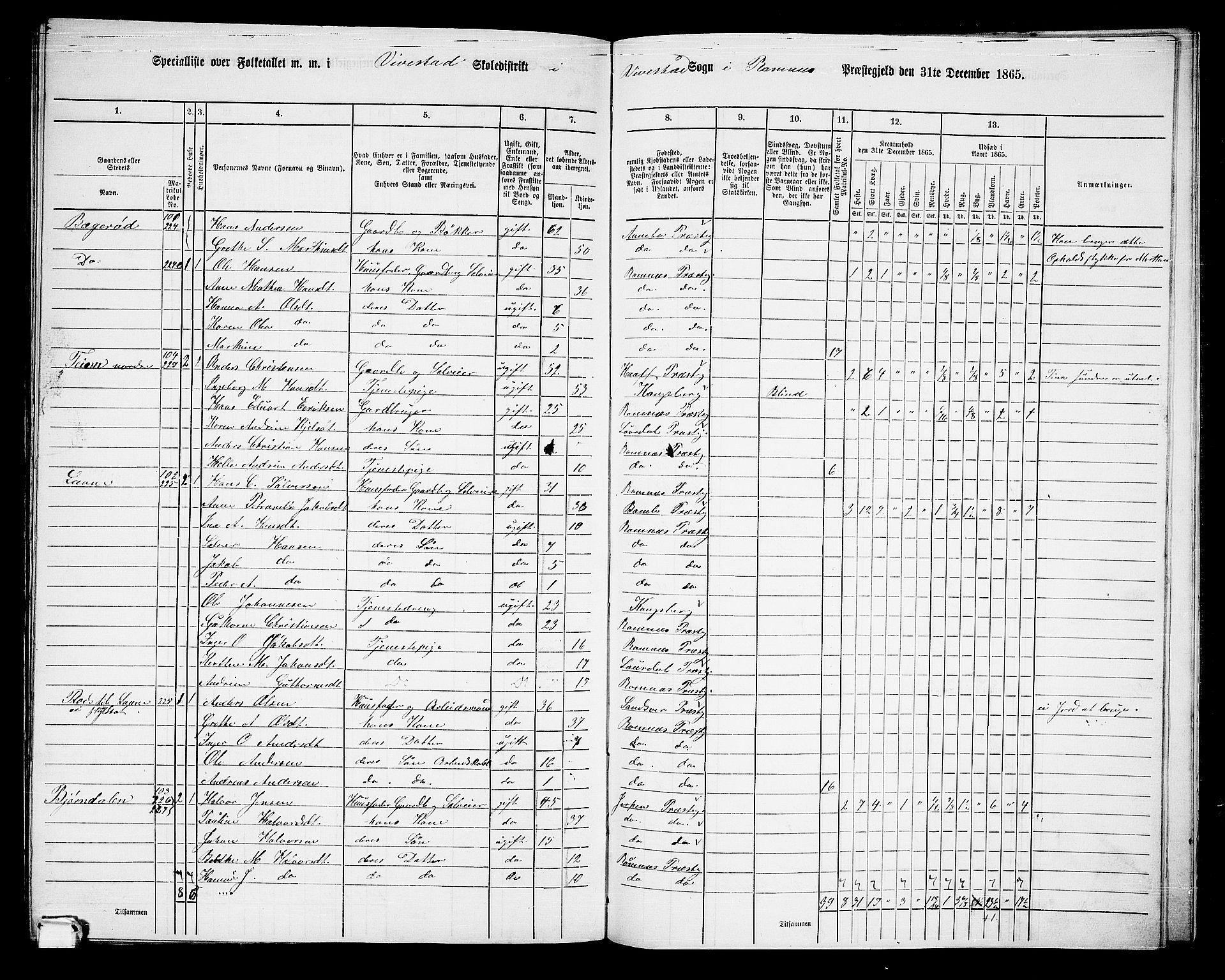 RA, 1865 census for Ramnes, 1865, p. 112