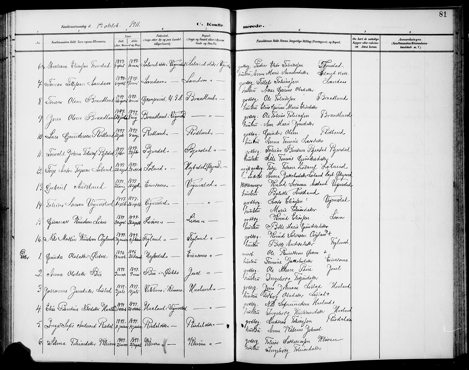 Nord-Audnedal sokneprestkontor, AV/SAK-1111-0032/F/Fb/Fbb/L0004: Parish register (copy) no. B 4, 1901-1917, p. 81