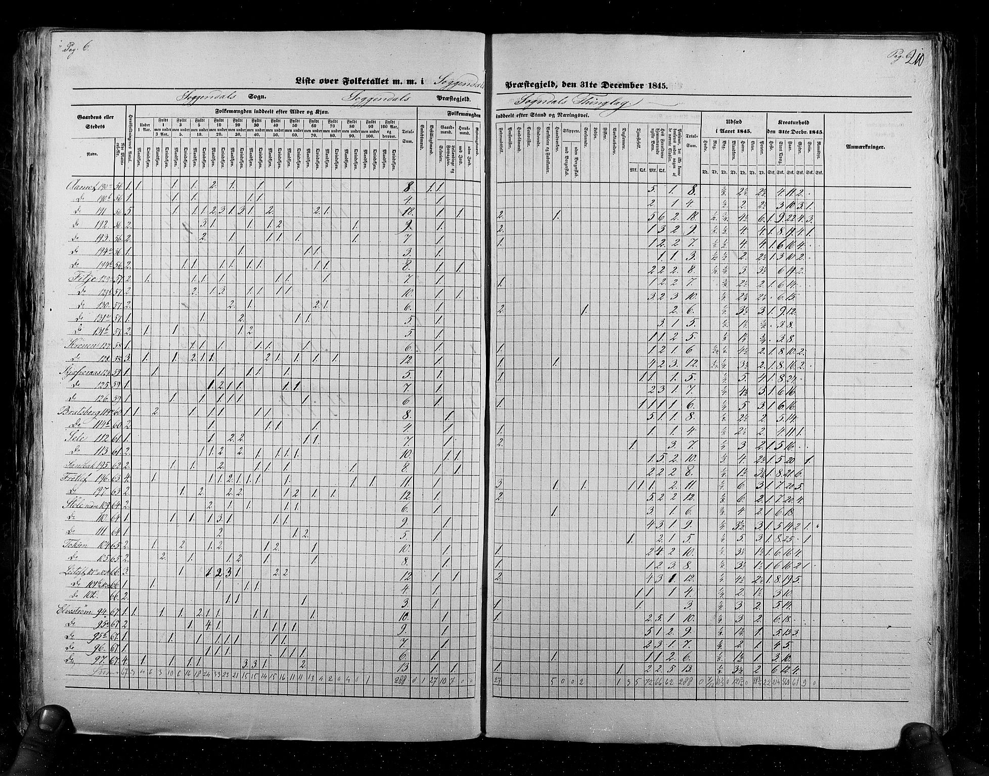 RA, Census 1845, vol. 6: Lister og Mandal amt og Stavanger amt, 1845, p. 210