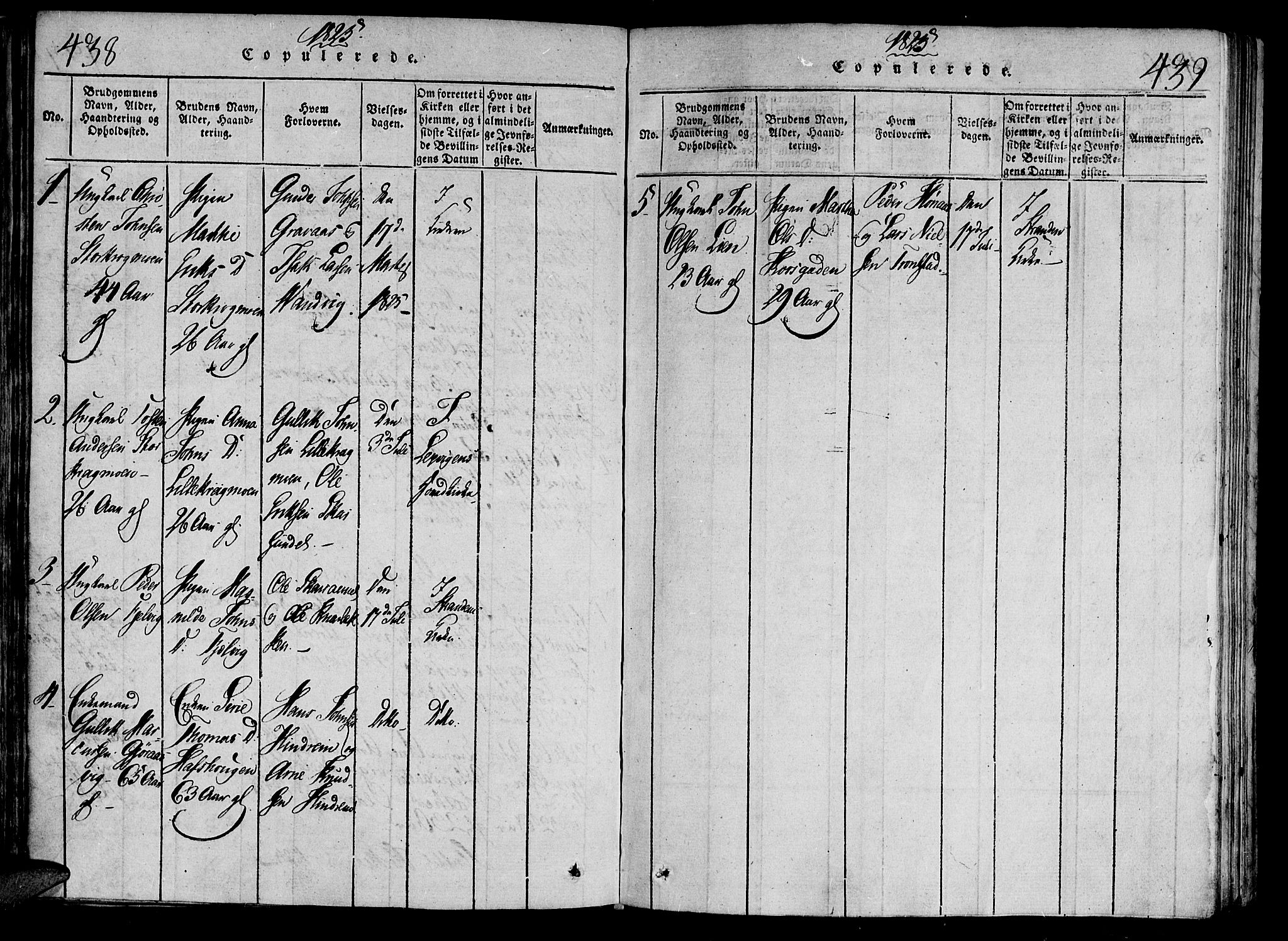 Ministerialprotokoller, klokkerbøker og fødselsregistre - Nord-Trøndelag, SAT/A-1458/701/L0005: Parish register (official) no. 701A05 /2, 1816-1825, p. 438-439