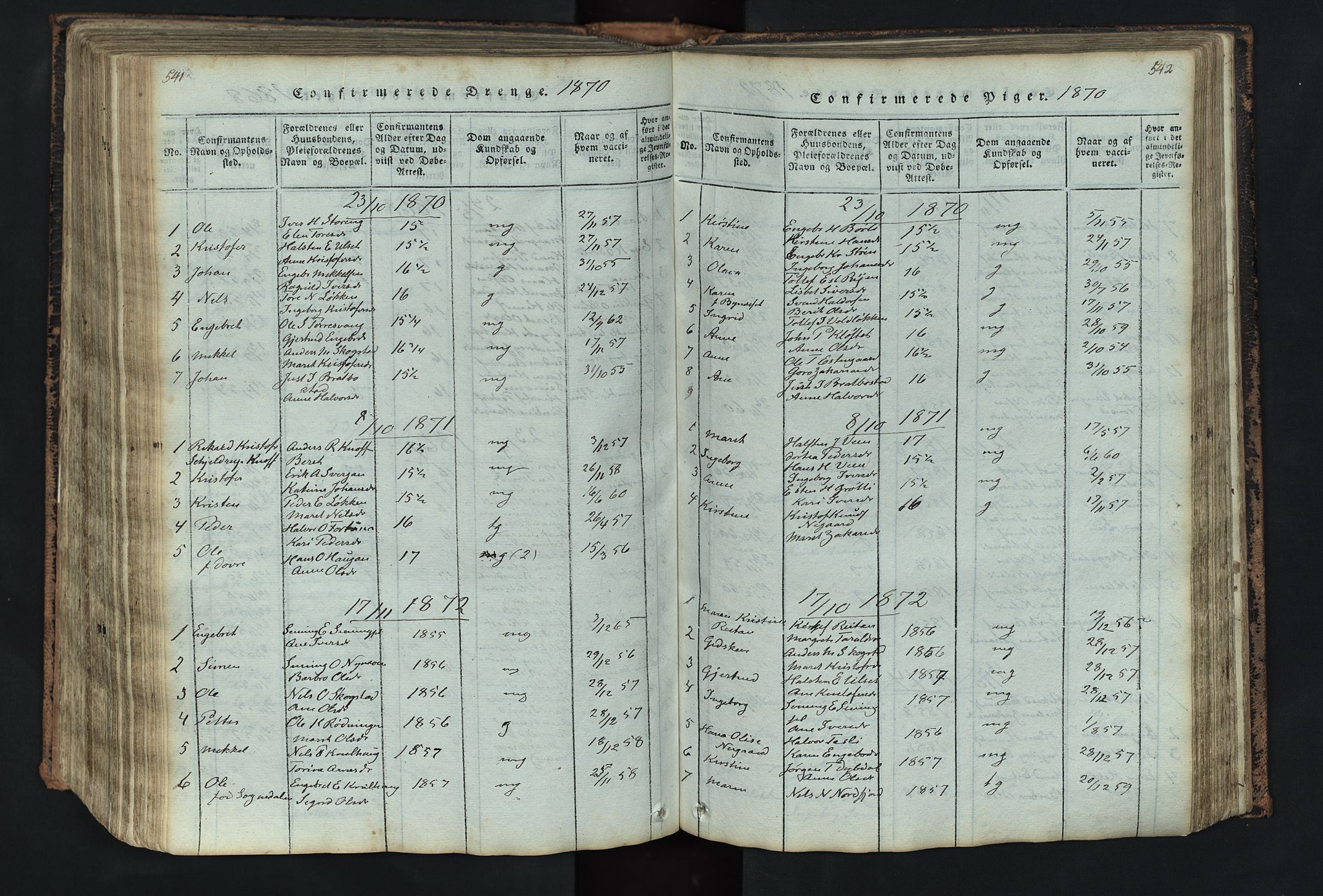 Kvikne prestekontor, SAH/PREST-064/H/Ha/Hab/L0001: Parish register (copy) no. 1, 1815-1895, p. 541-542