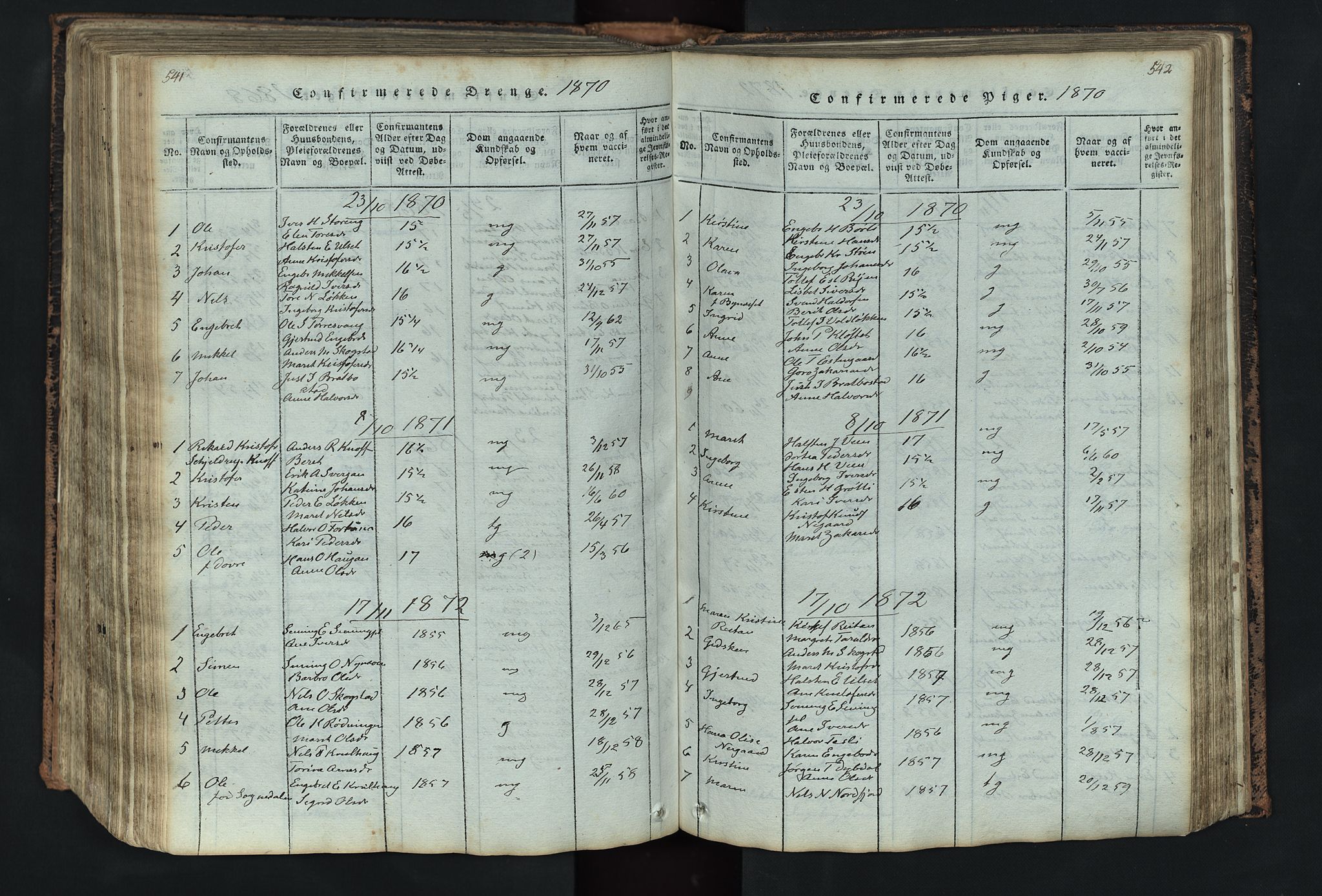 Kvikne prestekontor, AV/SAH-PREST-064/H/Ha/Hab/L0001: Parish register (copy) no. 1, 1815-1895, p. 541-542