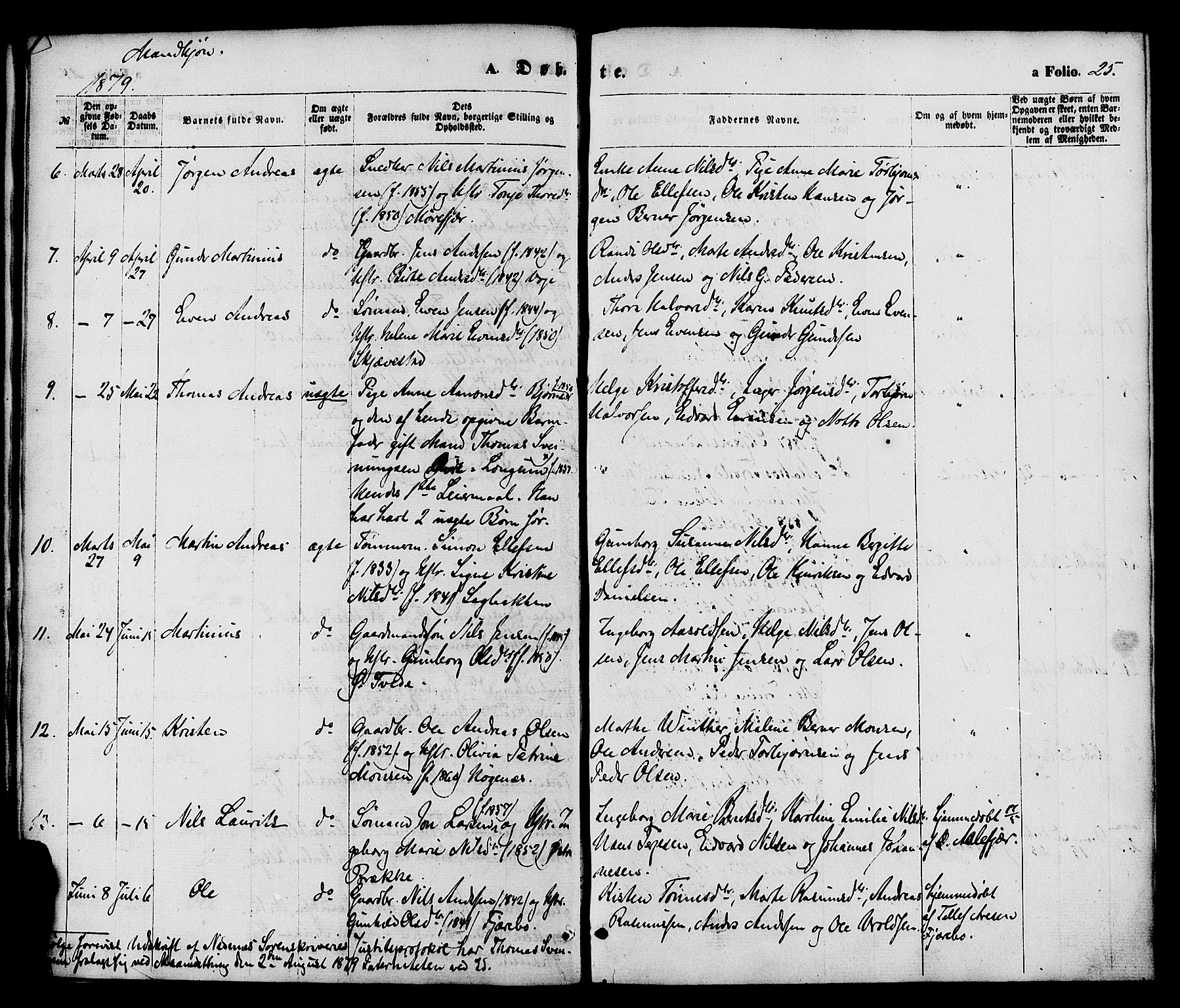 Austre Moland sokneprestkontor, AV/SAK-1111-0001/F/Fa/Faa/L0009: Parish register (official) no. A 9, 1869-1879, p. 25