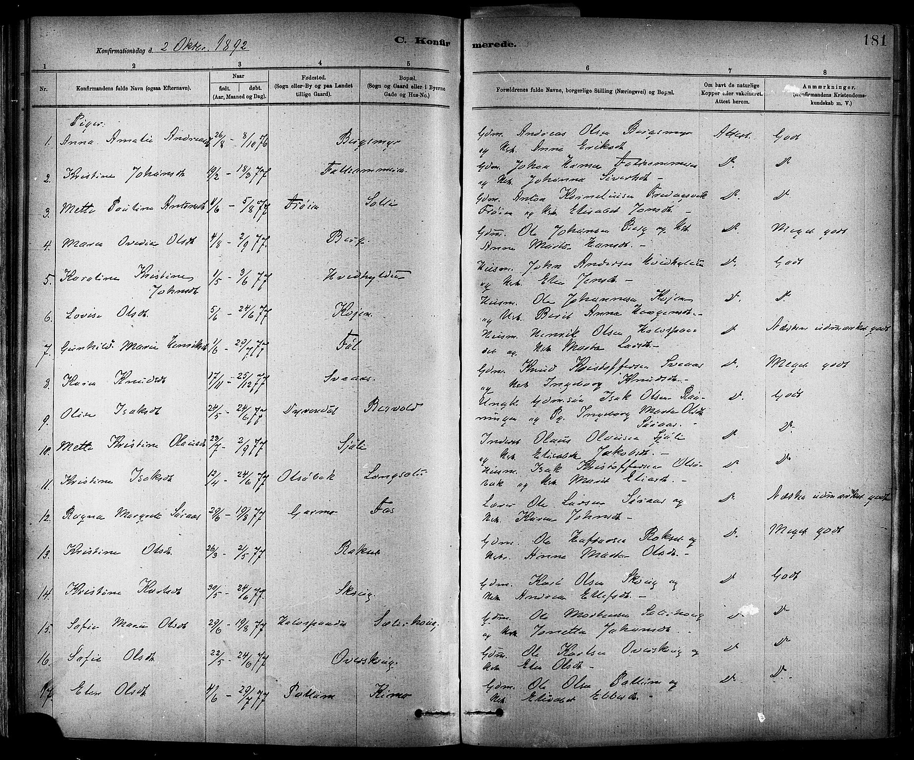 Ministerialprotokoller, klokkerbøker og fødselsregistre - Sør-Trøndelag, SAT/A-1456/647/L0634: Parish register (official) no. 647A01, 1885-1896, p. 181