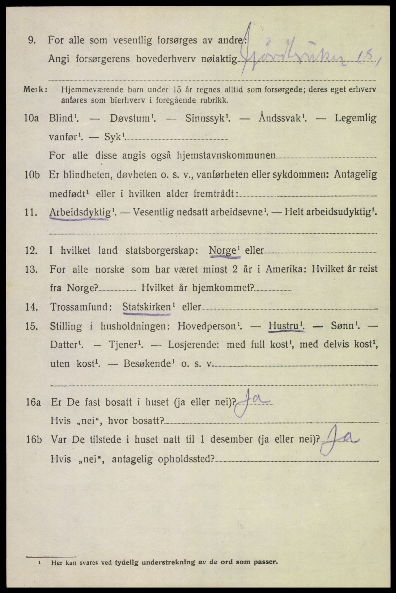 SAH, 1920 census for Heidal, 1920, p. 2797