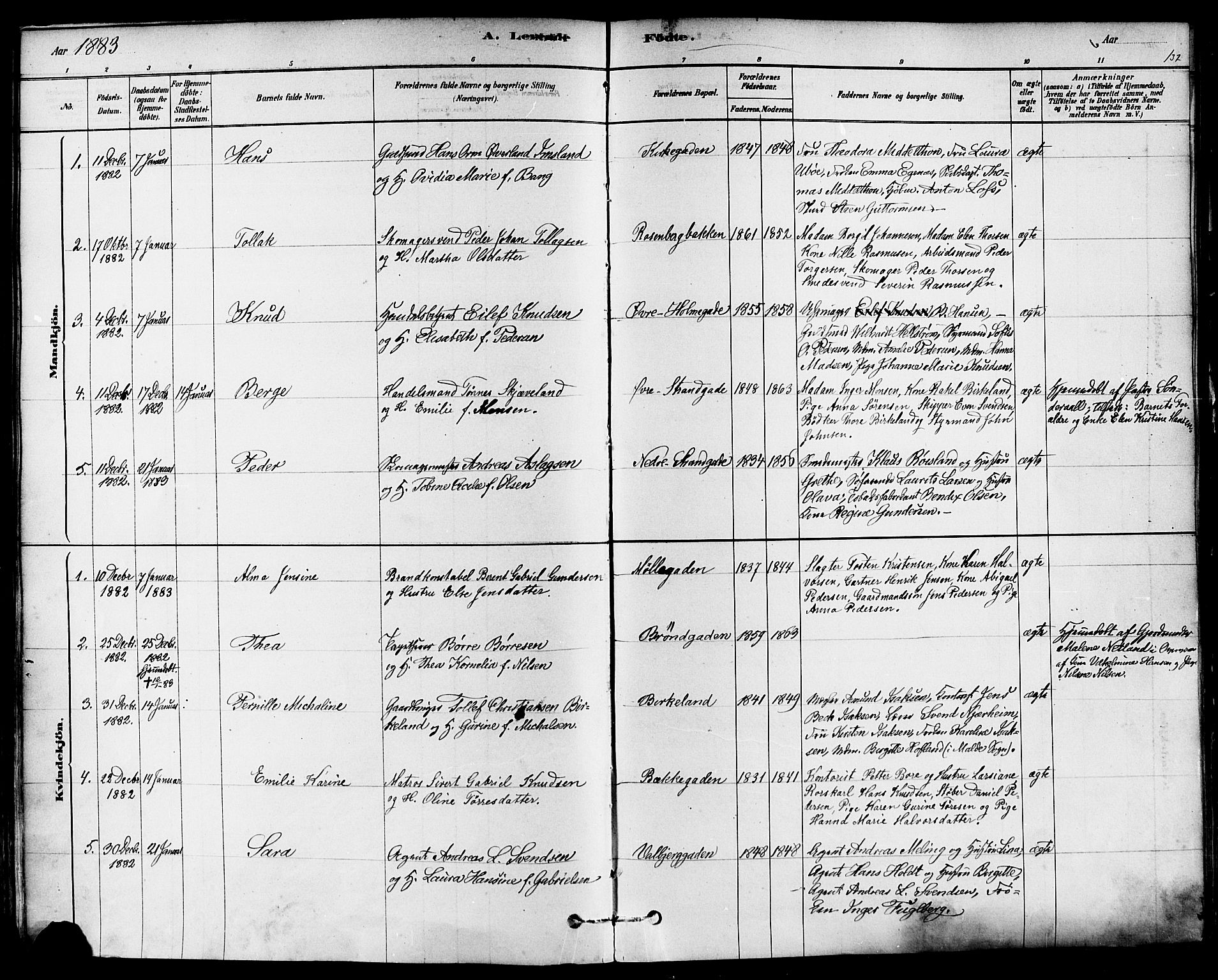 Domkirken sokneprestkontor, AV/SAST-A-101812/001/30/30BA/L0026: Parish register (official) no. A 25, 1878-1889, p. 132