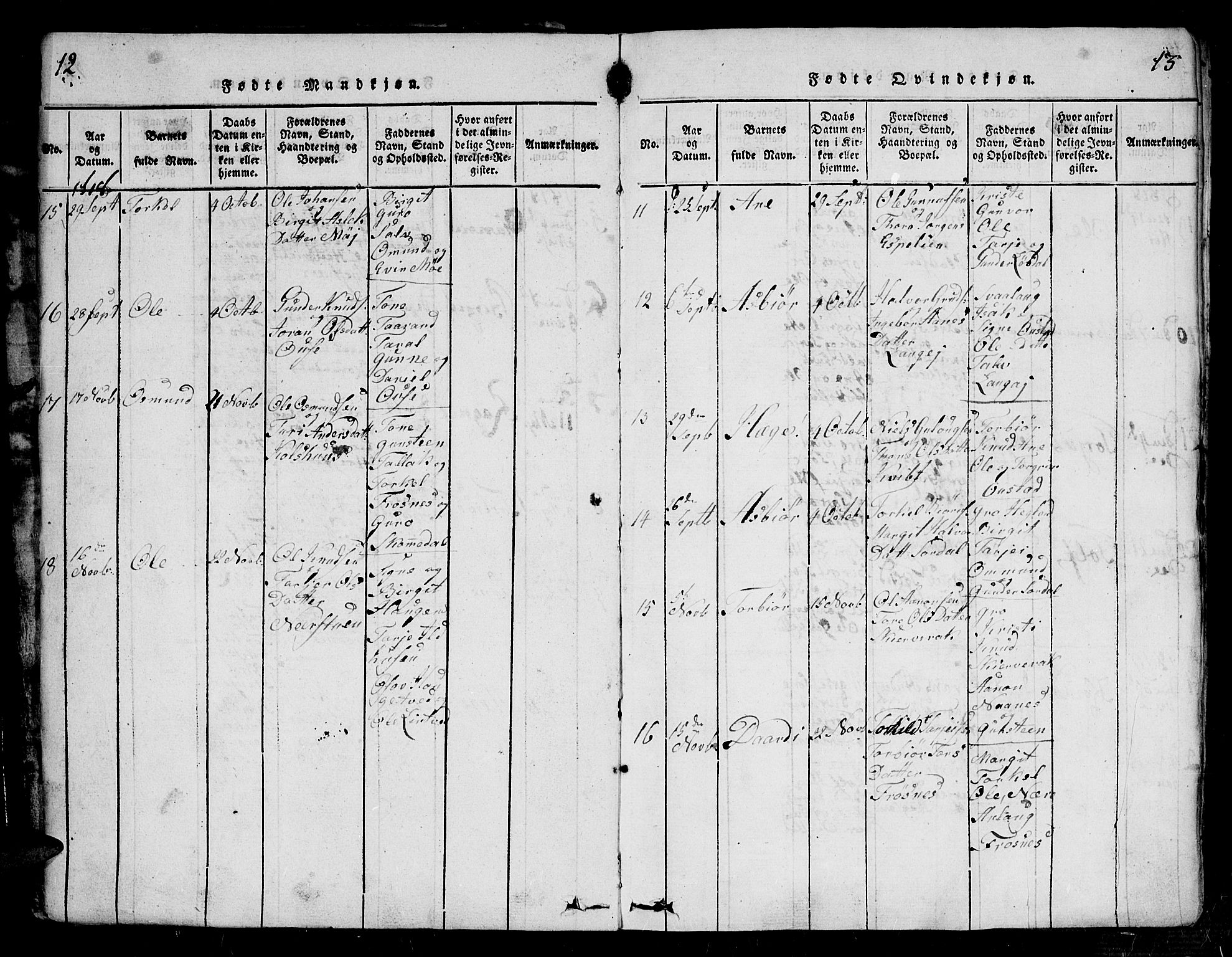 Bygland sokneprestkontor, AV/SAK-1111-0006/F/Fa/Fab/L0003: Parish register (official) no. A 3, 1816-1841, p. 12-13