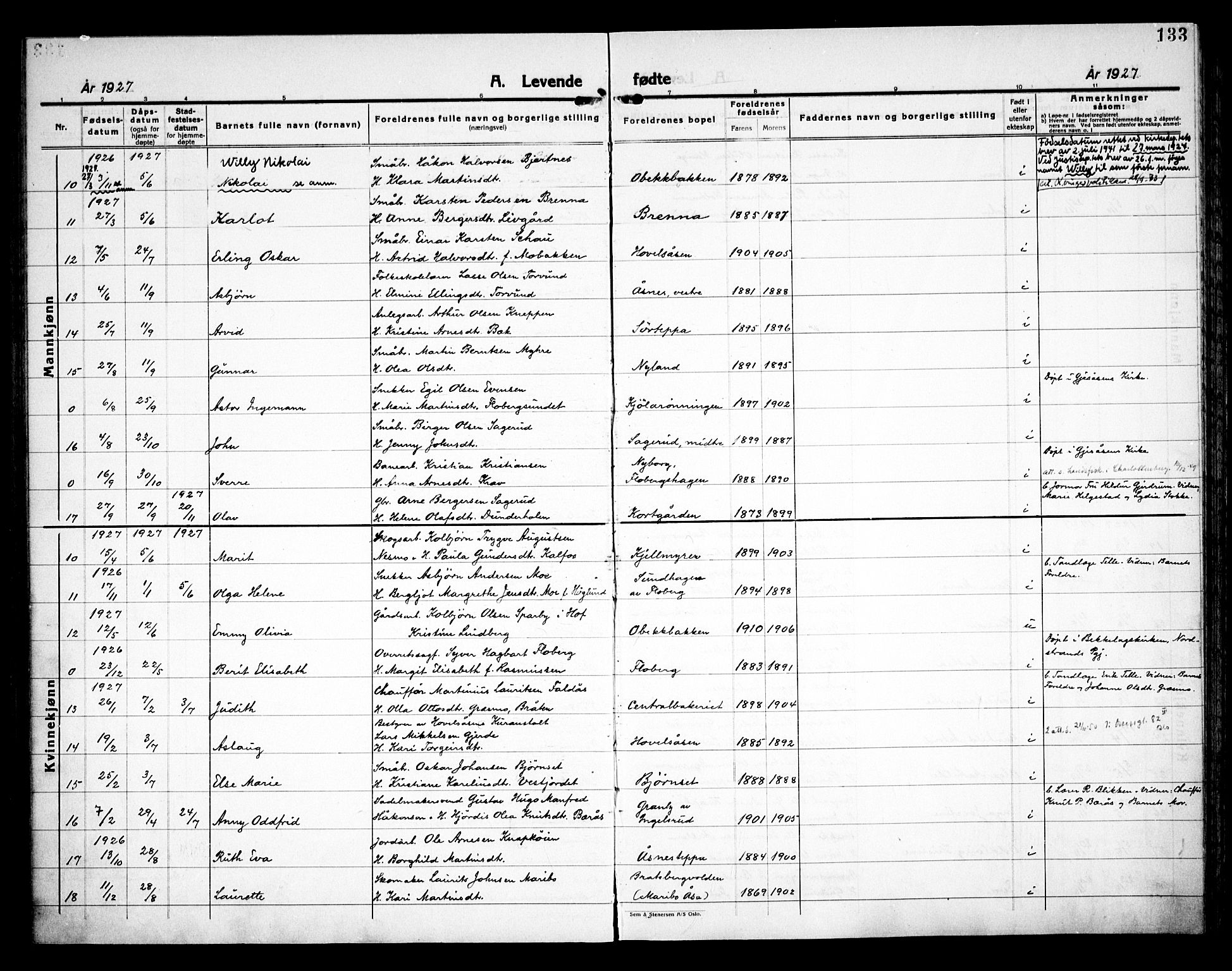 Åsnes prestekontor, AV/SAH-PREST-042/H/Ha/Haa/L0000C: Parish register (official) no. 0A, 1890-1929, p. 133