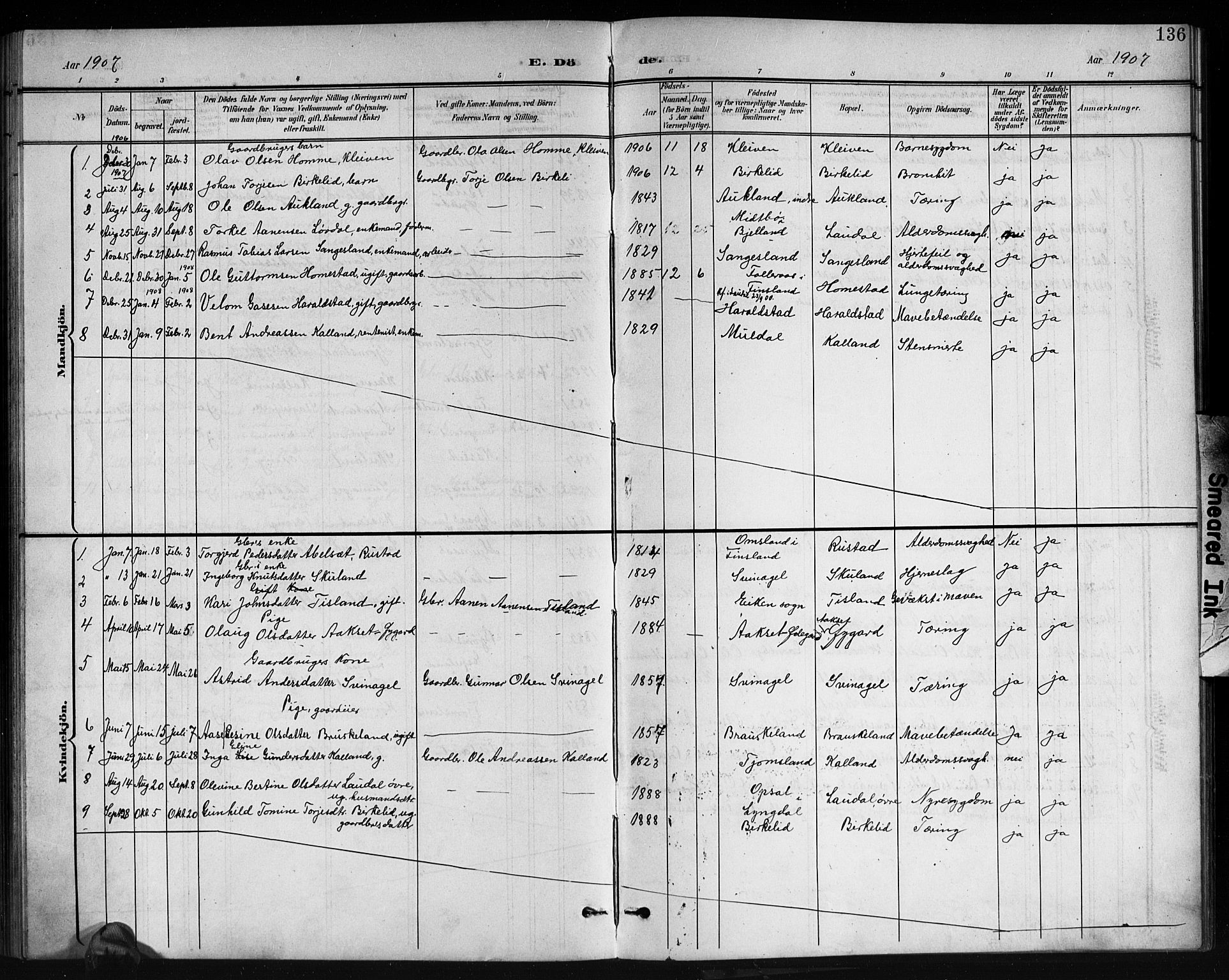 Holum sokneprestkontor, SAK/1111-0022/F/Fb/Fbb/L0004: Parish register (copy) no. B 4, 1899-1920, p. 136