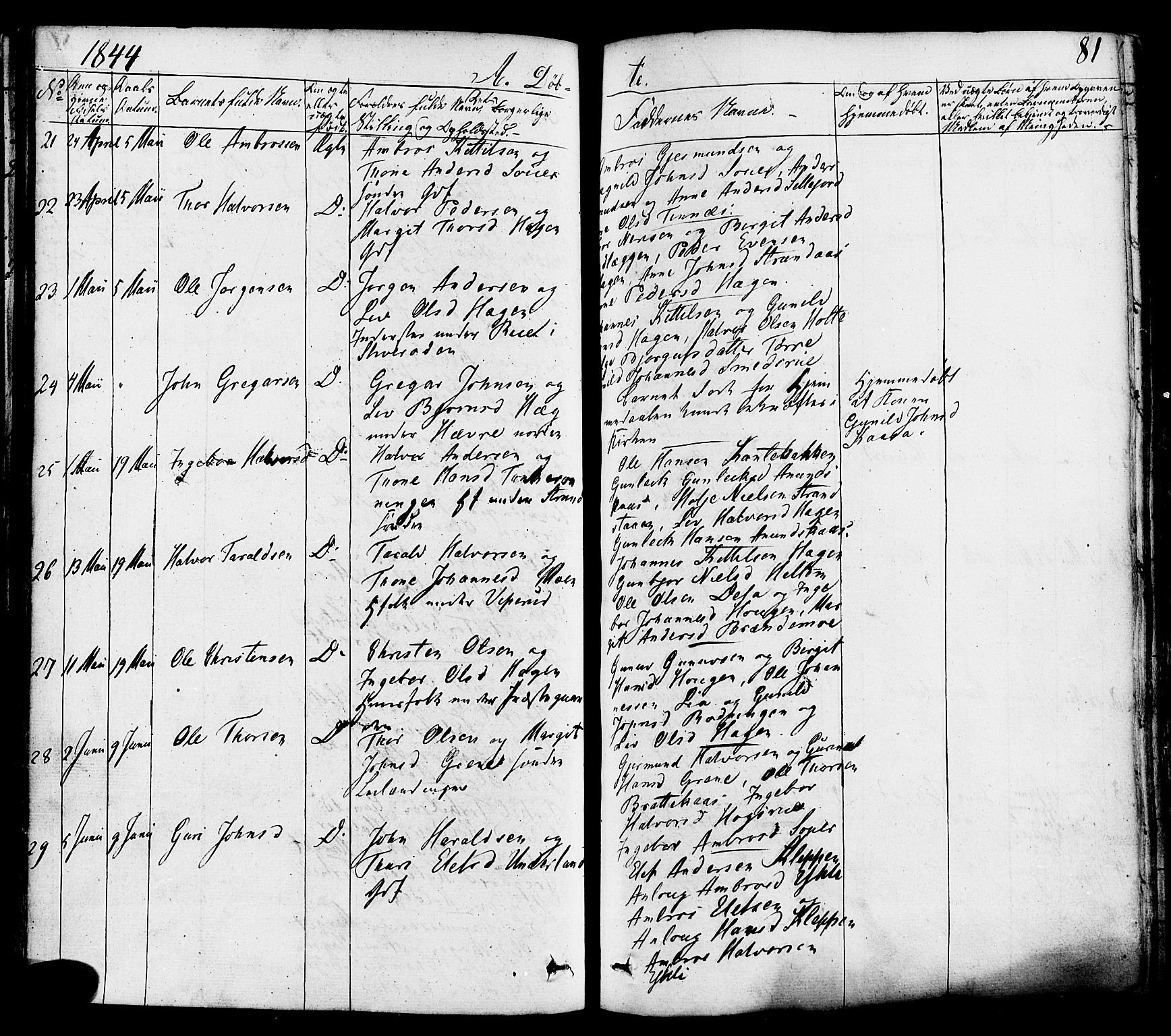 Heddal kirkebøker, AV/SAKO-A-268/F/Fa/L0006: Parish register (official) no. I 6, 1837-1854, p. 81