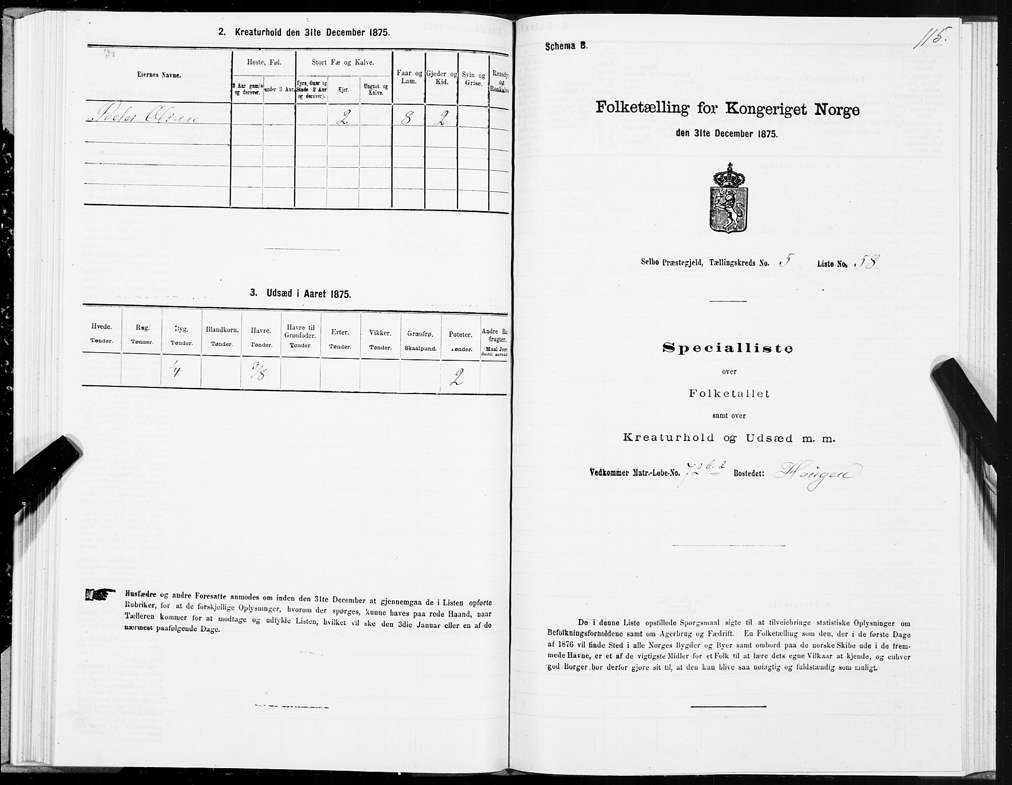 SAT, 1875 census for 1664P Selbu, 1875, p. 3115