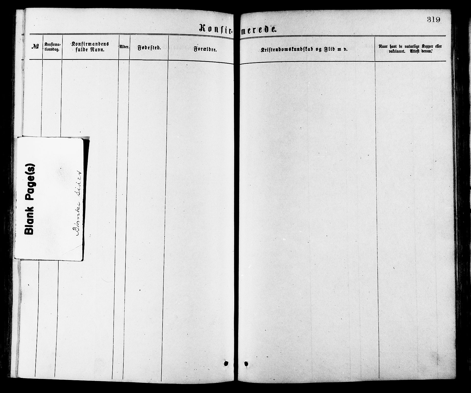 Ministerialprotokoller, klokkerbøker og fødselsregistre - Møre og Romsdal, SAT/A-1454/528/L0400: Parish register (official) no. 528A11, 1871-1879, p. 319