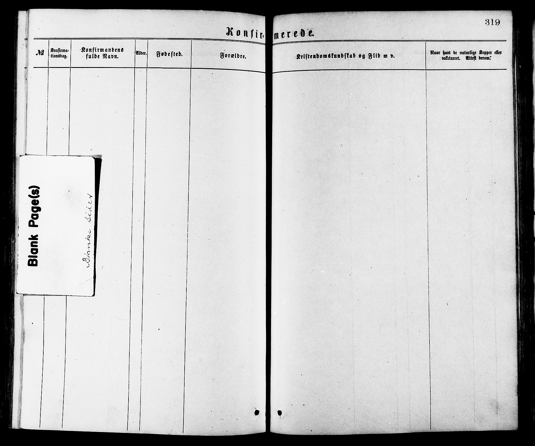 Ministerialprotokoller, klokkerbøker og fødselsregistre - Møre og Romsdal, AV/SAT-A-1454/528/L0400: Parish register (official) no. 528A11, 1871-1879, p. 319