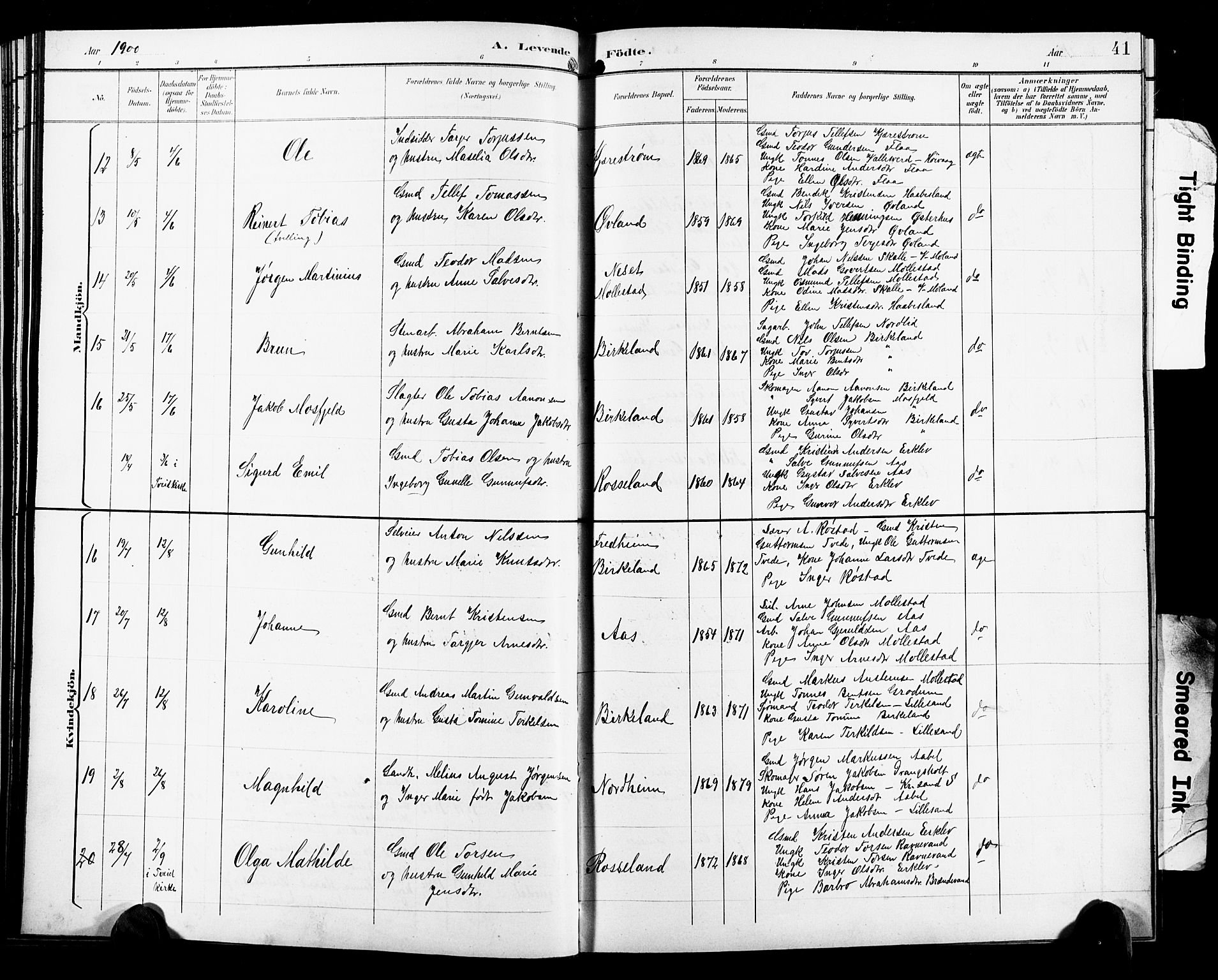 Birkenes sokneprestkontor, AV/SAK-1111-0004/F/Fb/L0004: Parish register (copy) no. B 4, 1893-1930, p. 41