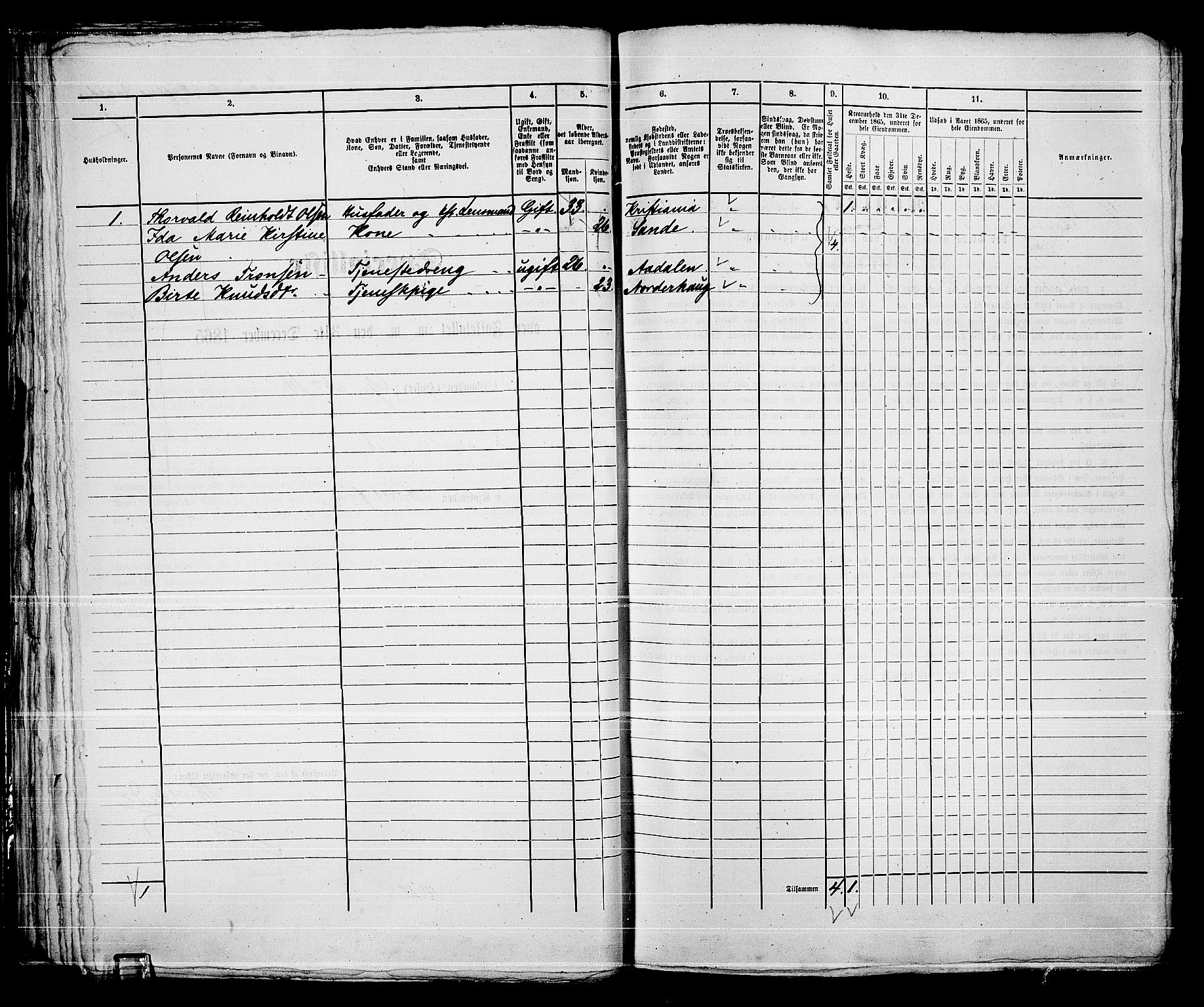 RA, 1865 census for Norderhov/Hønefoss, 1865, p. 51