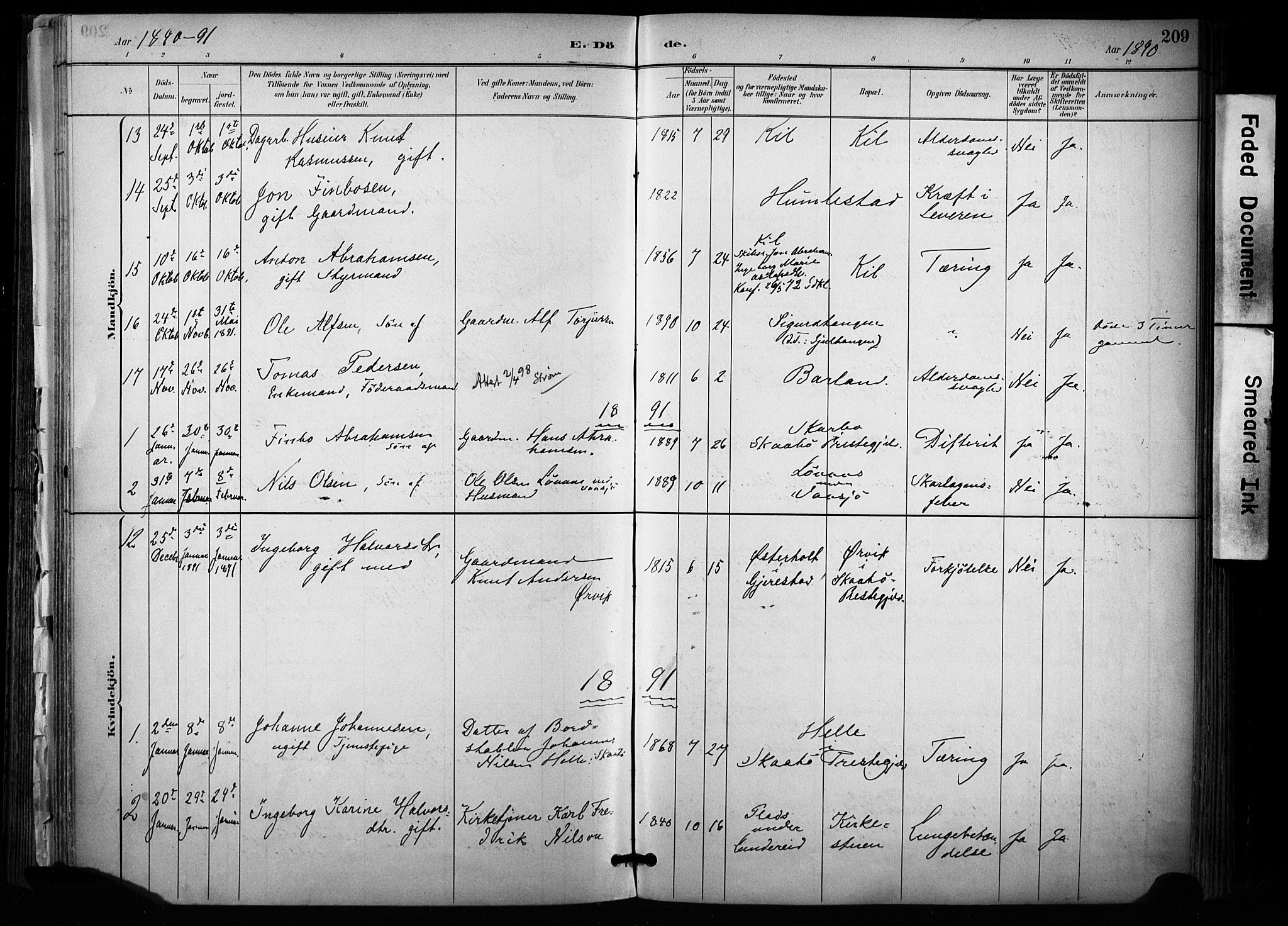 Sannidal kirkebøker, AV/SAKO-A-296/F/Fa/L0015: Parish register (official) no. 15, 1884-1899, p. 209
