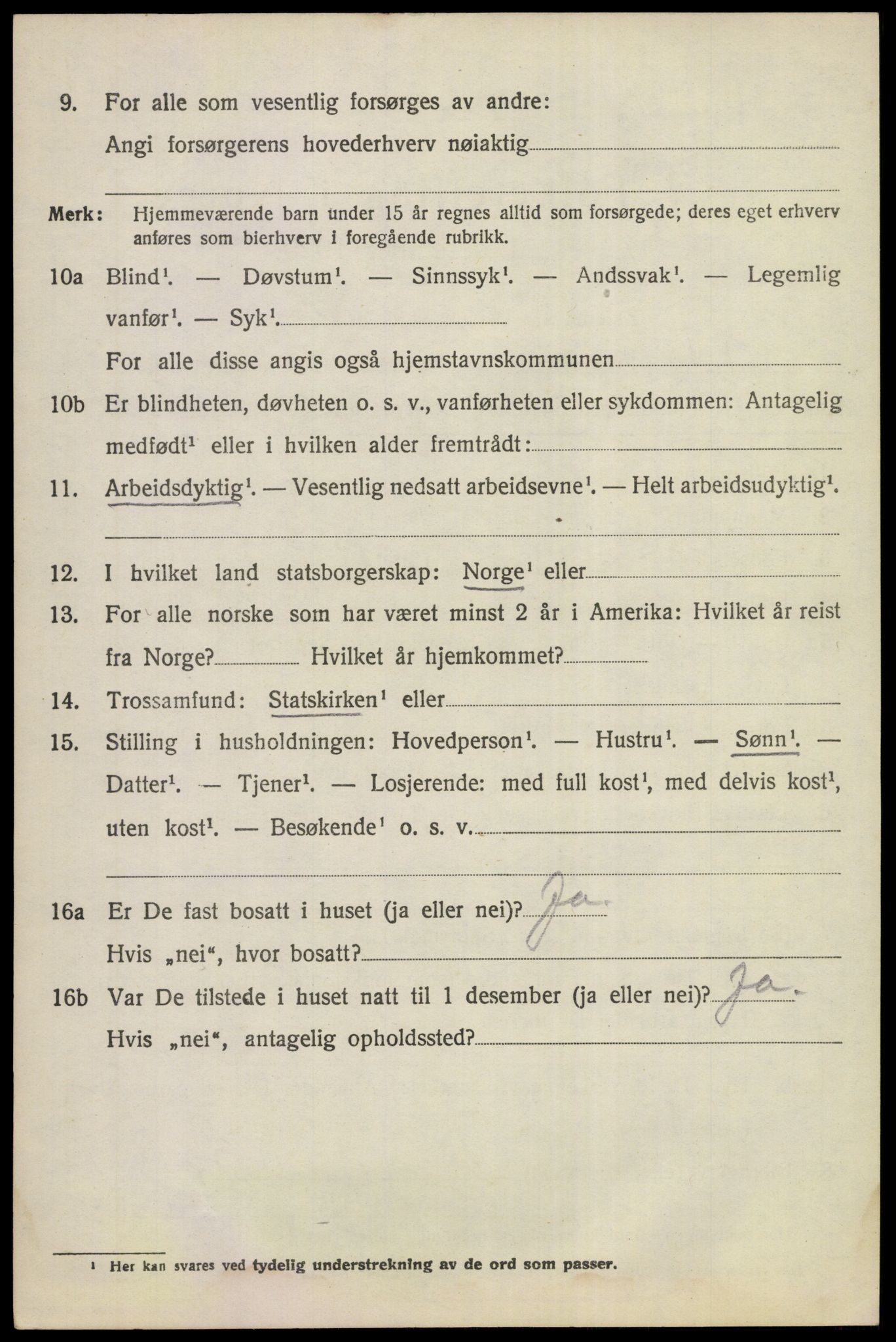 SAKO, 1920 census for Norderhov, 1920, p. 17799