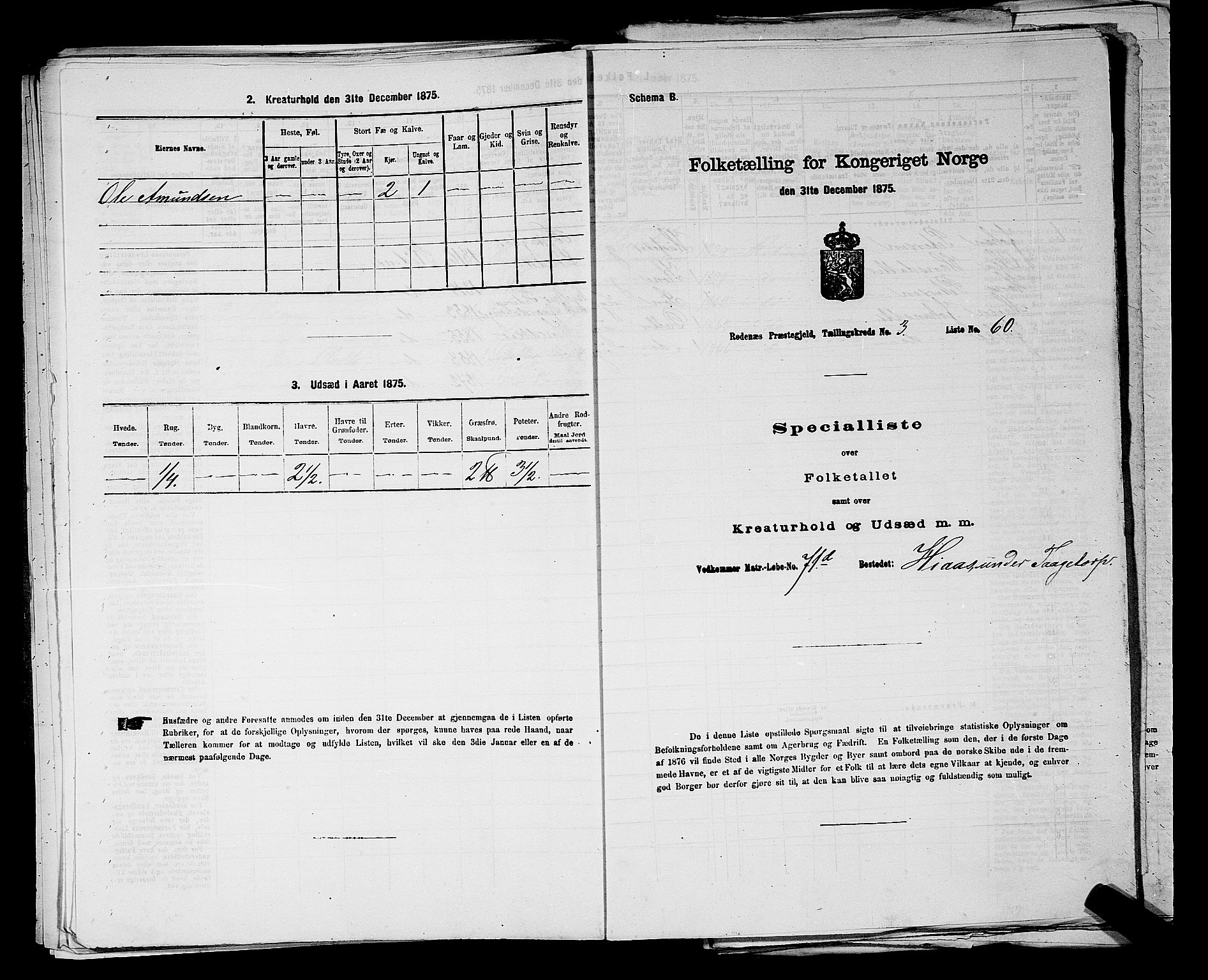 RA, 1875 census for 0120P Rødenes, 1875, p. 482