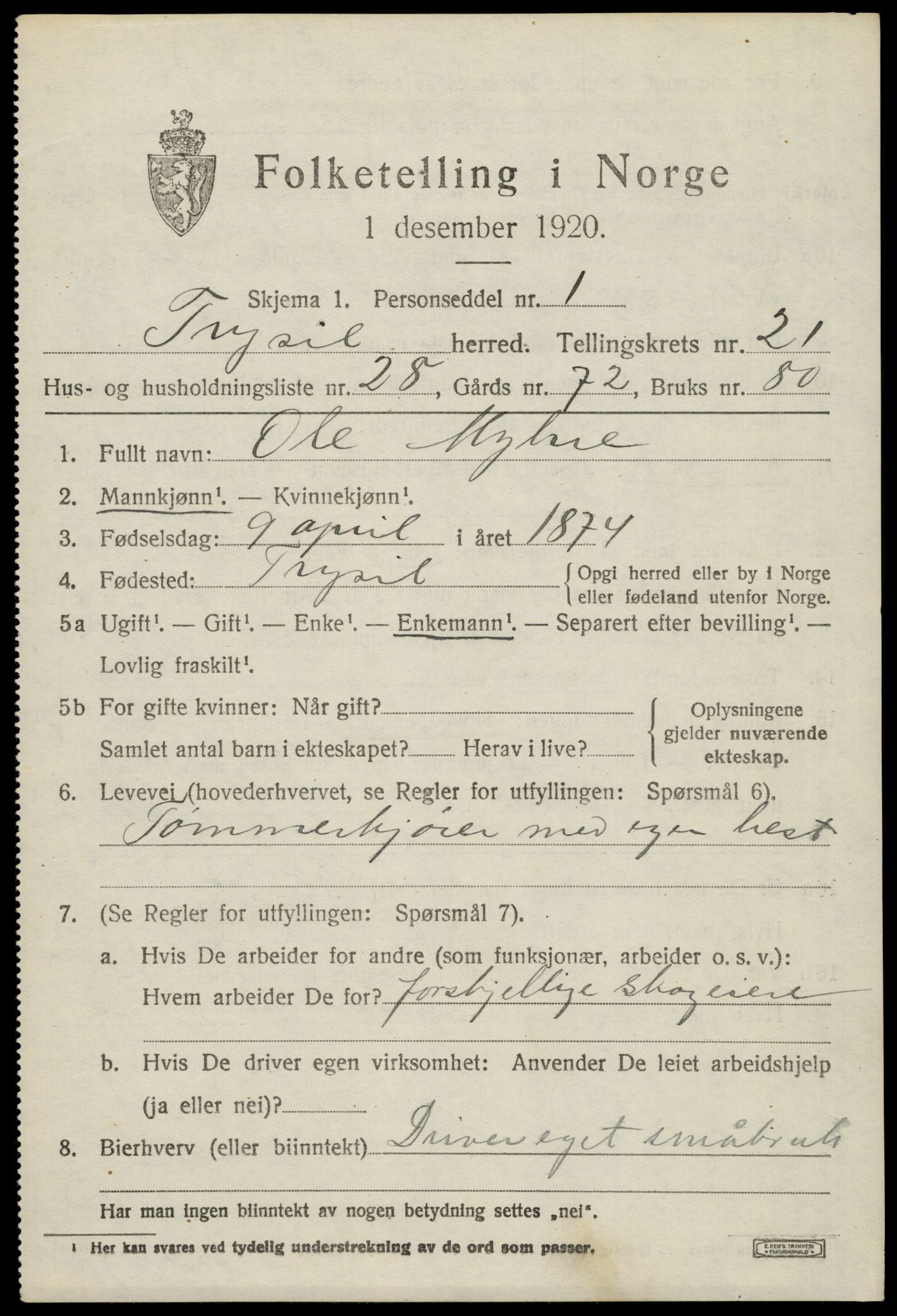 SAH, 1920 census for Trysil, 1920, p. 14105