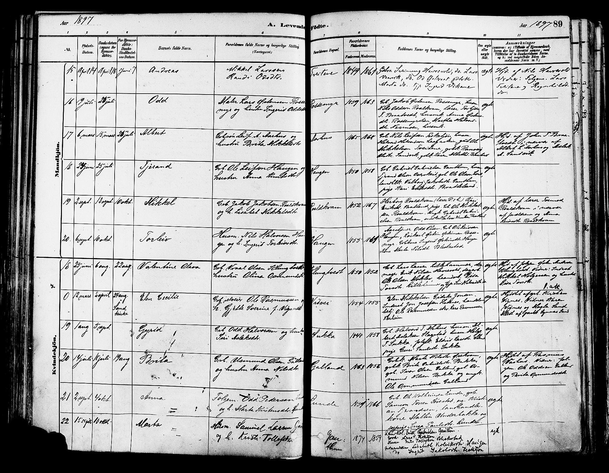 Suldal sokneprestkontor, SAST/A-101845/01/IV/L0011: Parish register (official) no. A 11, 1878-1900, p. 89