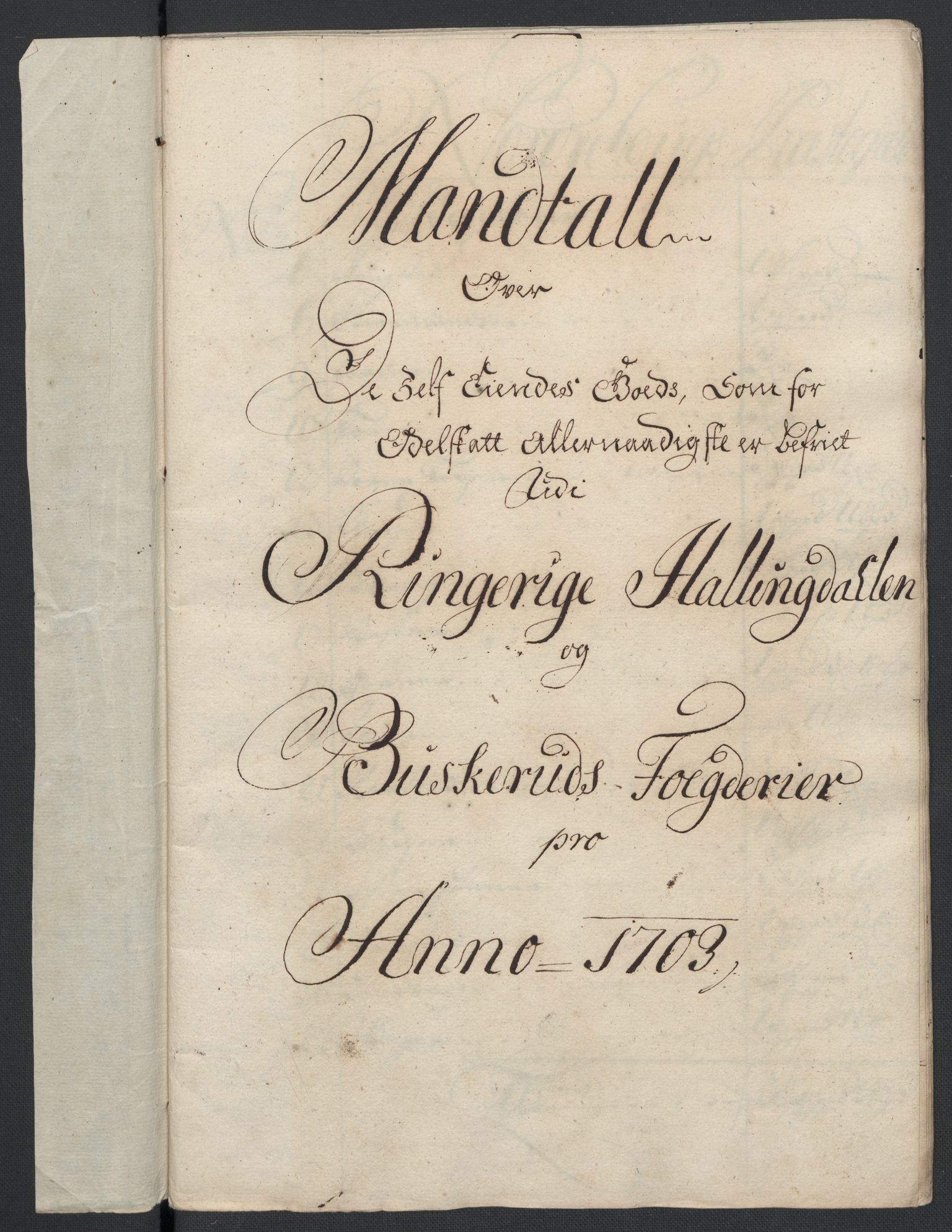 Rentekammeret inntil 1814, Reviderte regnskaper, Fogderegnskap, AV/RA-EA-4092/R22/L1461: Fogderegnskap Ringerike, Hallingdal og Buskerud, 1703, p. 259