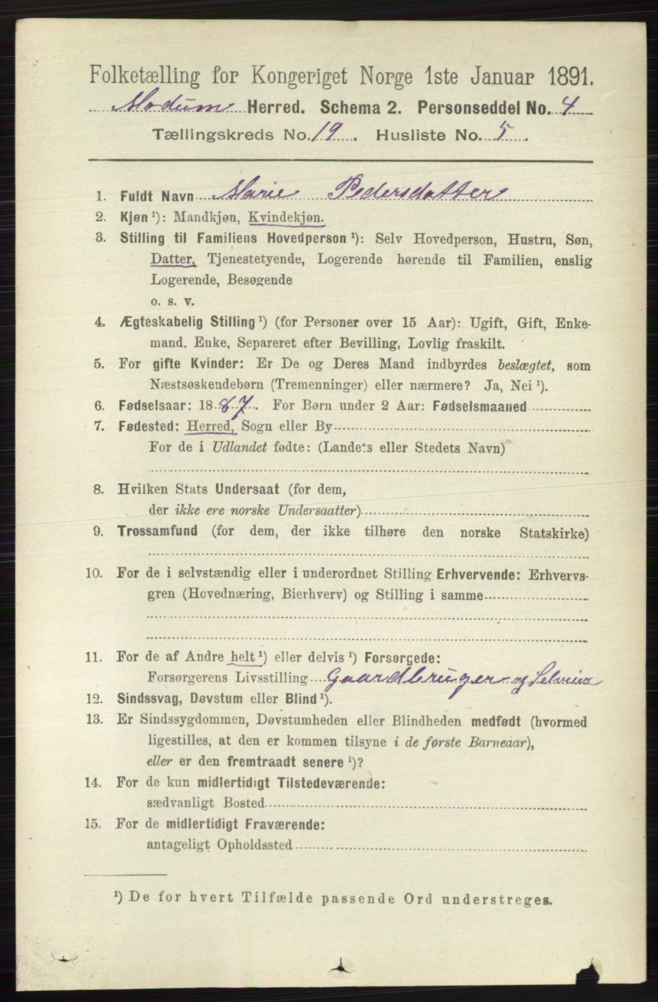 RA, 1891 census for 0623 Modum, 1891, p. 7635